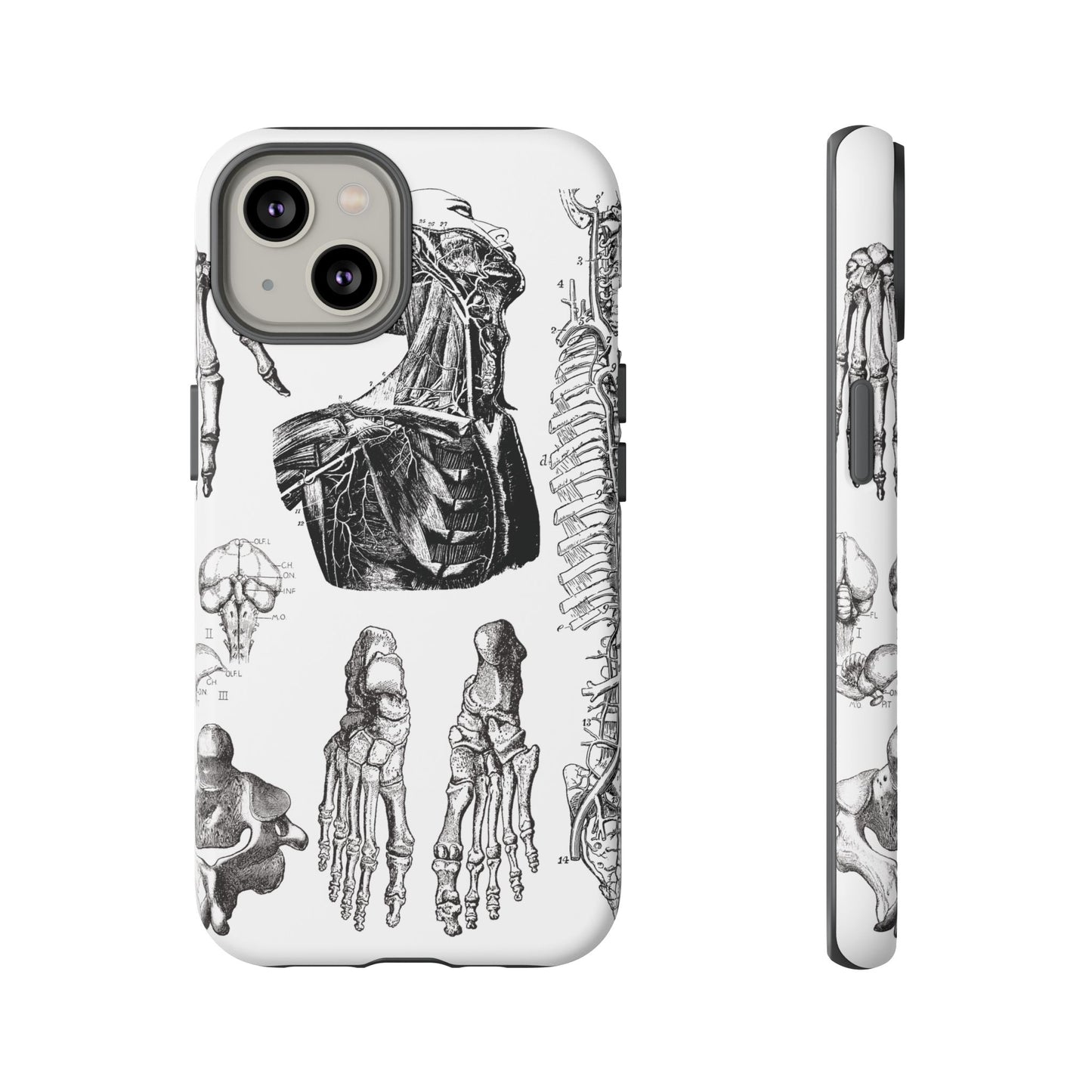 Vintage Anatomy Phone Case - Medical Illustration Design - Custom iPhone, Samsung & Pixel Cover - Science Gift - Doctor Aesthetic - Anatomy