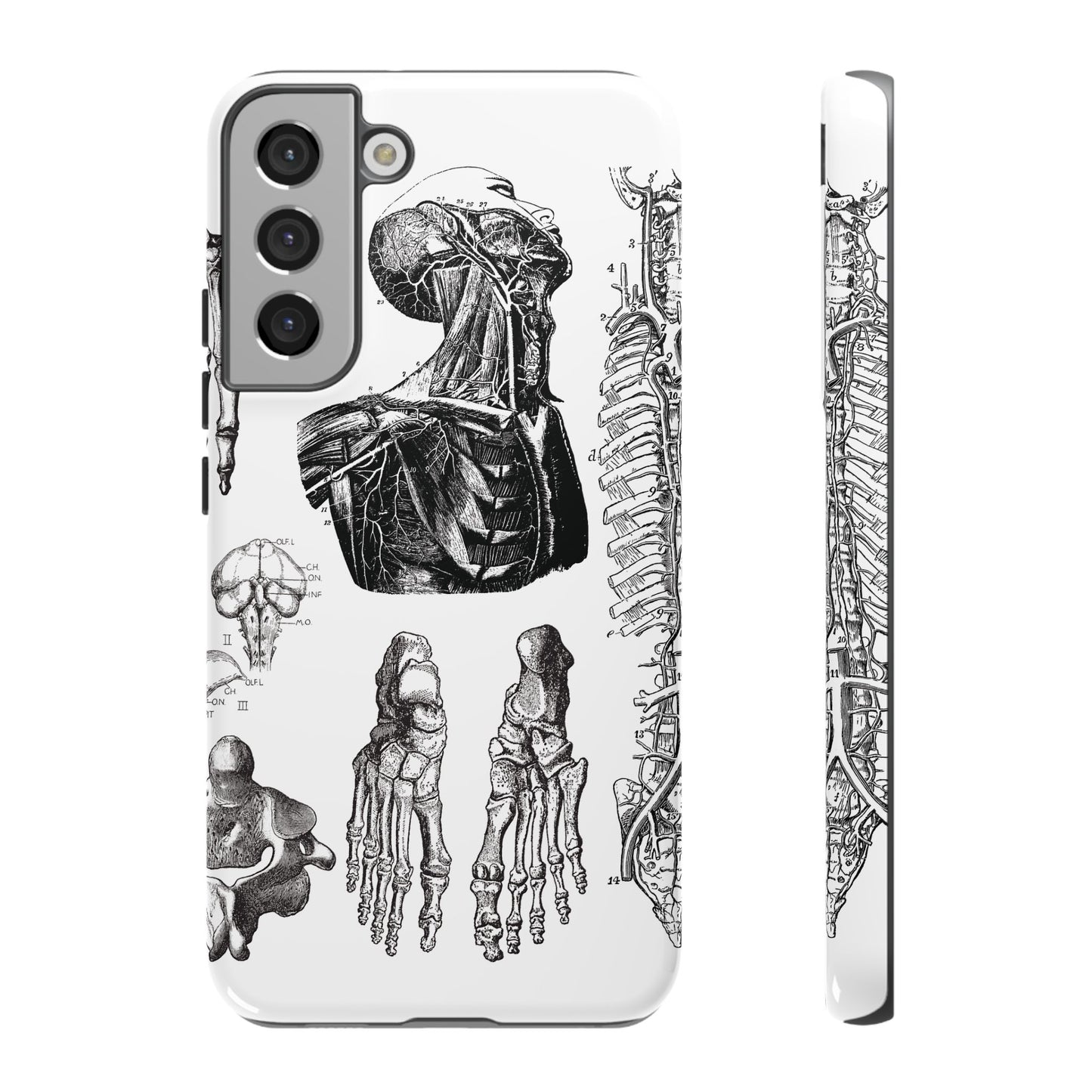 Vintage Anatomy Phone Case - Medical Illustration Design - Custom iPhone, Samsung & Pixel Cover - Science Gift - Doctor Aesthetic - Anatomy