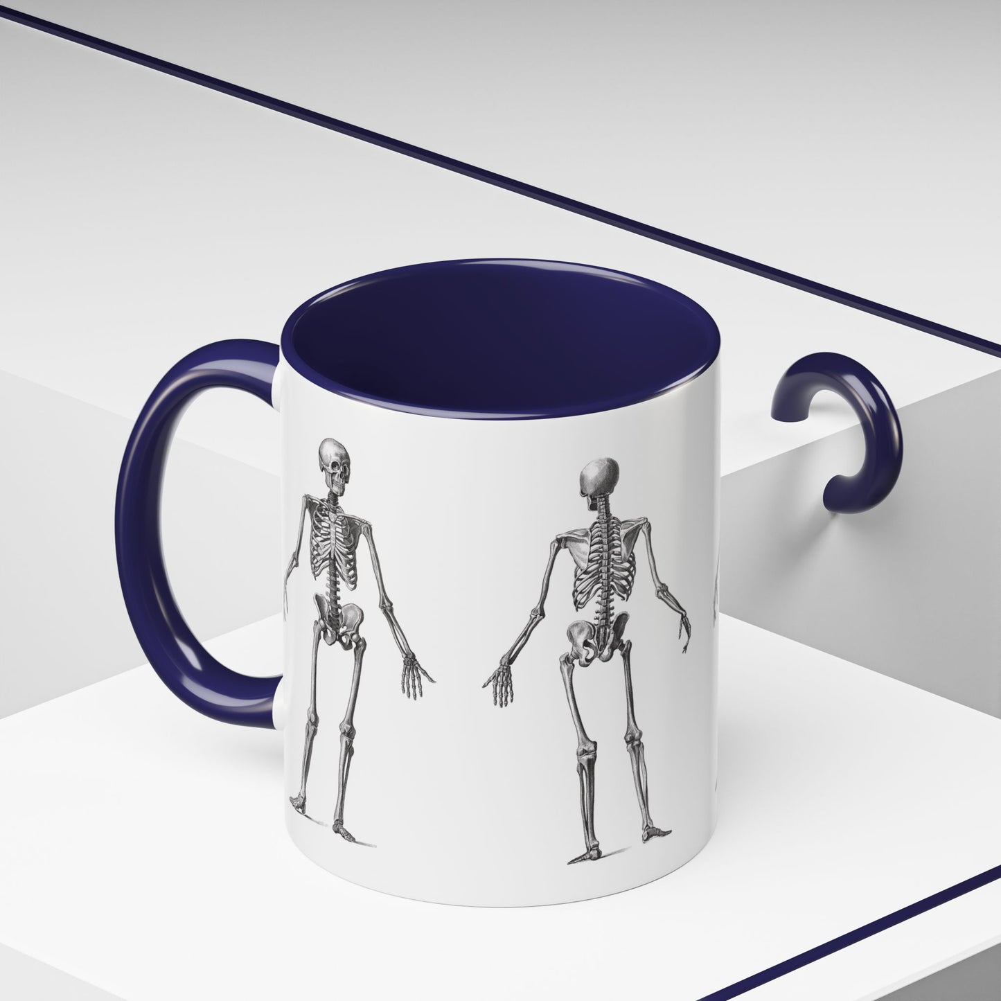 Anatomy Skeleton Accent Coffee Mug, Medical Student Doctor Nurse Gift, Anatomical Diagram, Halloween Mug, Biology Teacher Gift,