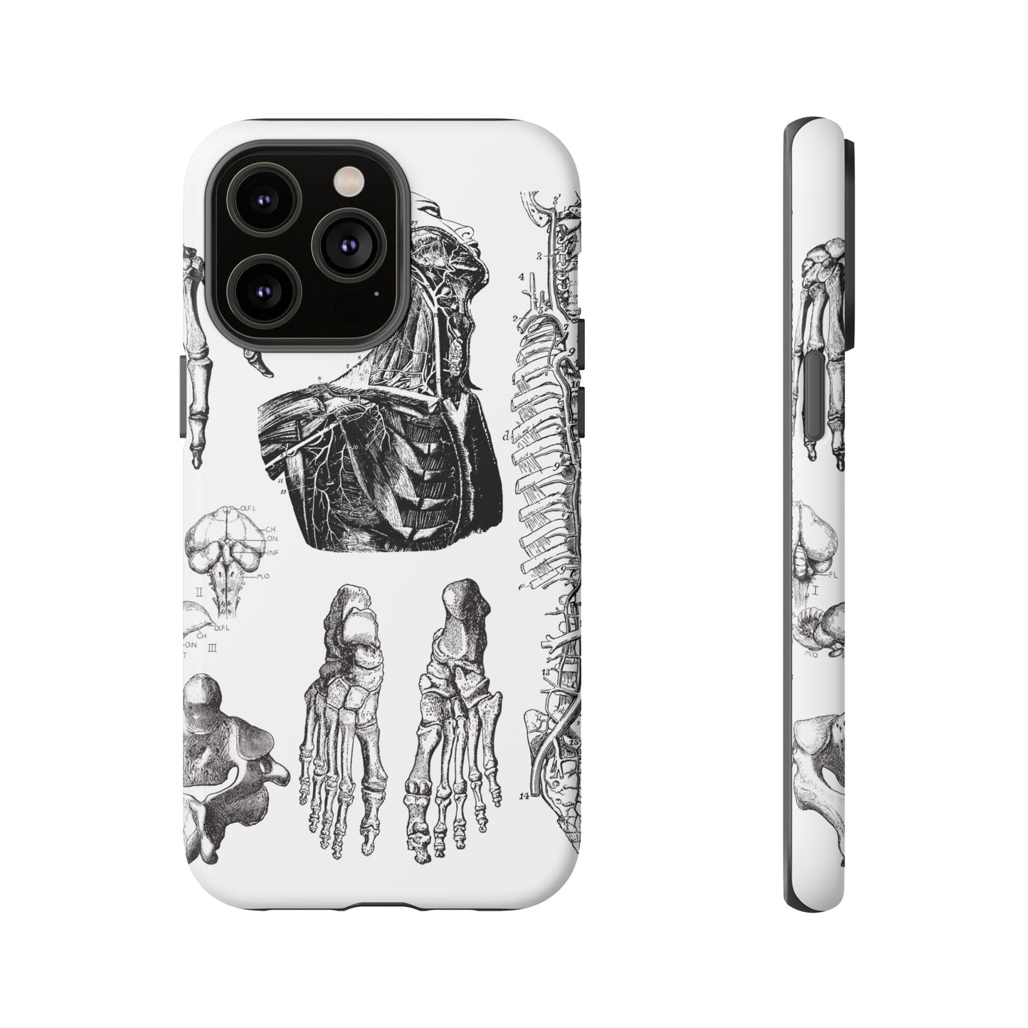 Vintage Anatomy Phone Case - Medical Illustration Design - Custom iPhone, Samsung & Pixel Cover - Science Gift - Doctor Aesthetic - Anatomy