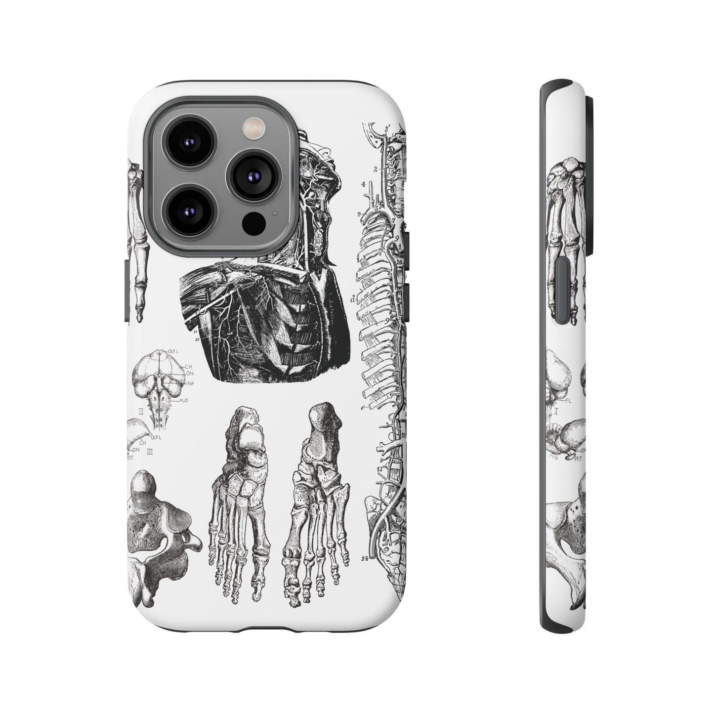 Vintage Anatomy Phone Case - Medical Illustration Design - Custom iPhone, Samsung & Pixel Cover - Science Gift - Doctor Aesthetic - Anatomy