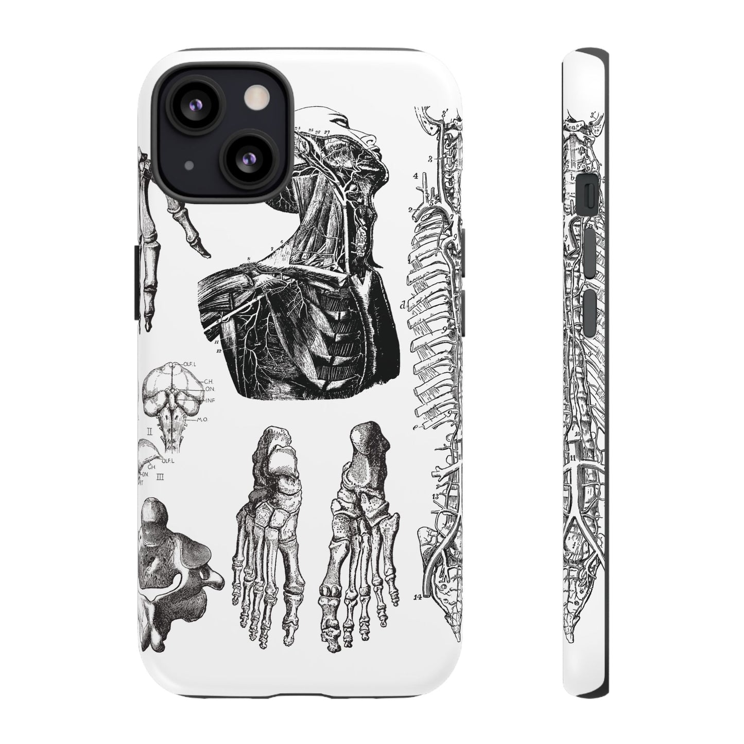 Vintage Anatomy Phone Case - Medical Illustration Design - Custom iPhone, Samsung & Pixel Cover - Science Gift - Doctor Aesthetic - Anatomy
