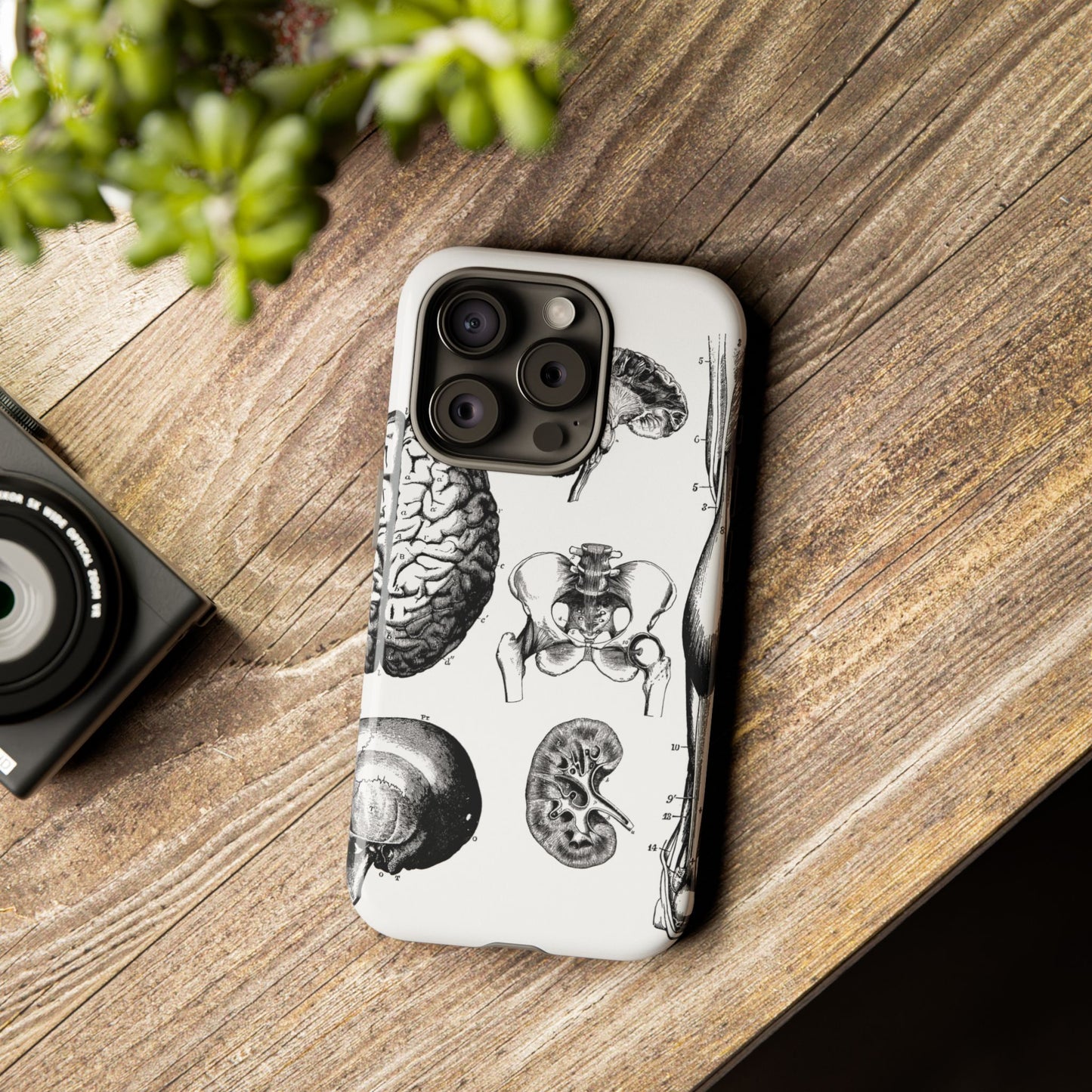 Vintage Anatomy Phone Case - Medical Sketch Design - Custom iPhone, Samsung & Pixel Cover - Science Gift - Doctor Aesthetic - Anatomy case