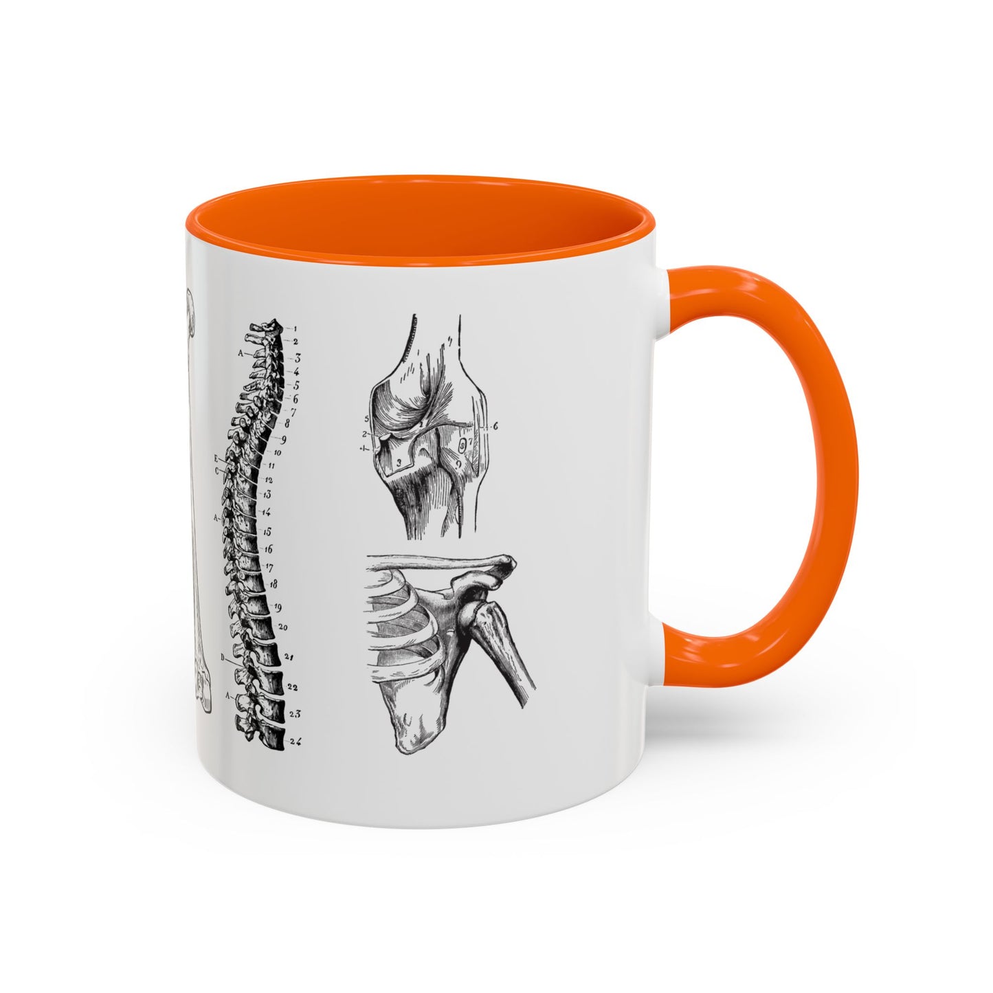 Orthopedic Surgery Mug, Bone Anatomy Coffee Cup, Orthopedist Gift Idea, Medical Anatomy Mug, Doctor Appreciation, Healthcare Worker Gift