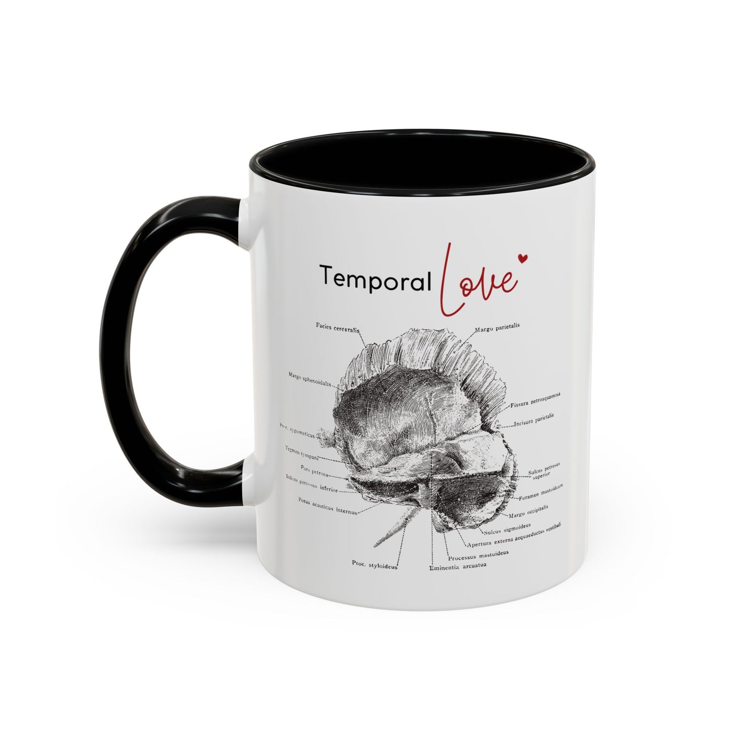 Temporal love Anatomy Lovers Club Coffee Mug, Medical Humor, Gift for Science Lovers, Unique Anatomical Design, Black Accent Mug