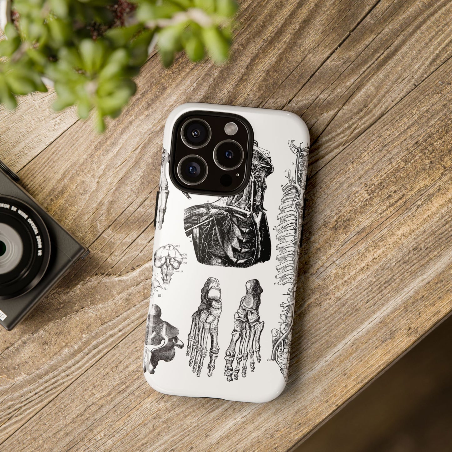 Vintage Anatomy Phone Case - Medical Illustration Design - Custom iPhone, Samsung & Pixel Cover - Science Gift - Doctor Aesthetic - Anatomy