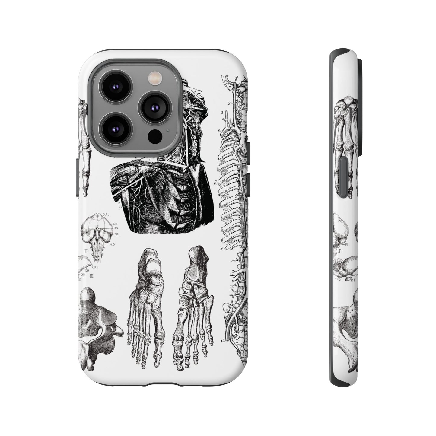 Vintage Anatomy Phone Case - Medical Illustration Design - Custom iPhone, Samsung & Pixel Cover - Science Gift - Doctor Aesthetic - Anatomy