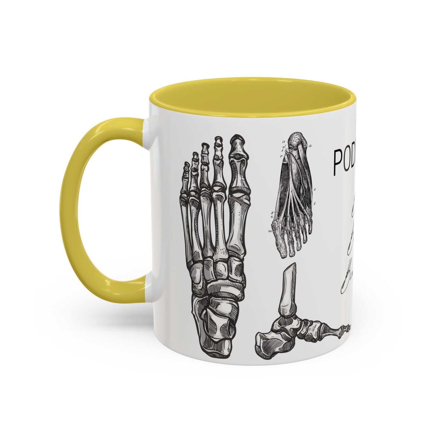 Taza Podología Pie Anatómico, Regalo Podólogo, Taza Anatomía Médica, Taza Doctor, Taza Estudiante Medicina, Personal Sanitario