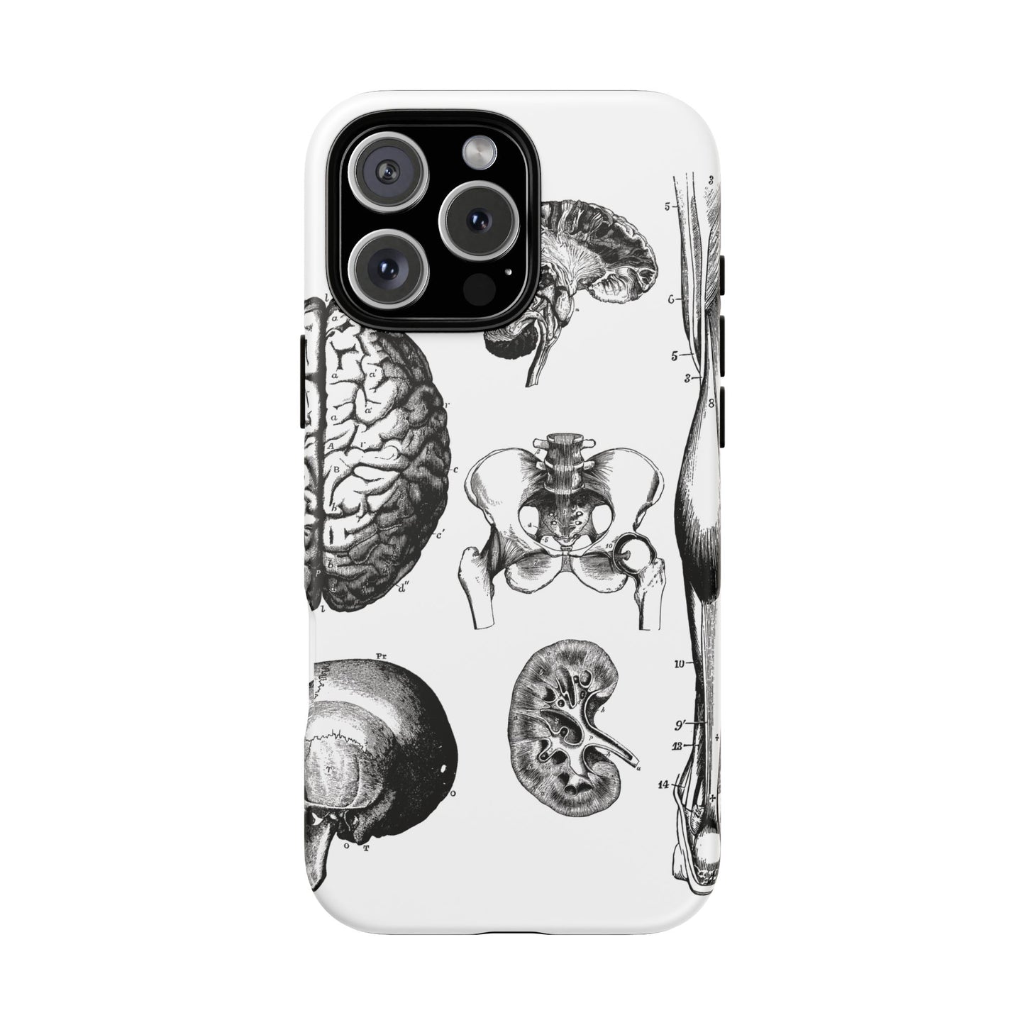 Vintage Anatomy Phone Case - Medical Sketch Design - Custom iPhone, Samsung & Pixel Cover - Science Gift - Doctor Aesthetic - Anatomy case