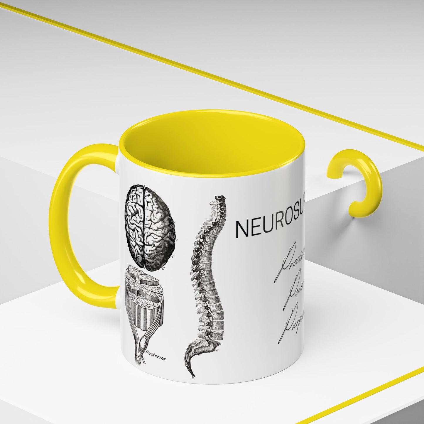 Neuro-Spine Mug, Anatomical Spine Illustration Cup, Neurosurgeon Gift Idea, Spine Surgery Mug, Doctor Appreciation, Medical Worker Gift