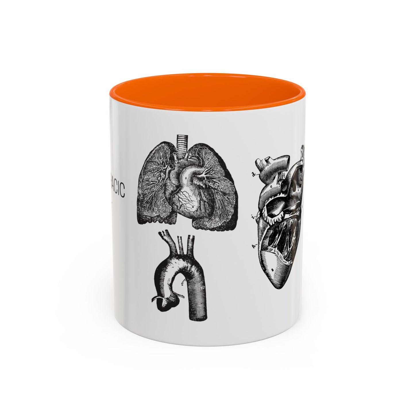 Cardiothoracic Surgery Mug, Heart and Lung Anatomy Cup, Surgeon Gift, Medical Anatomy Mug, Doctor Appreciation, Healthcare Worker Gift