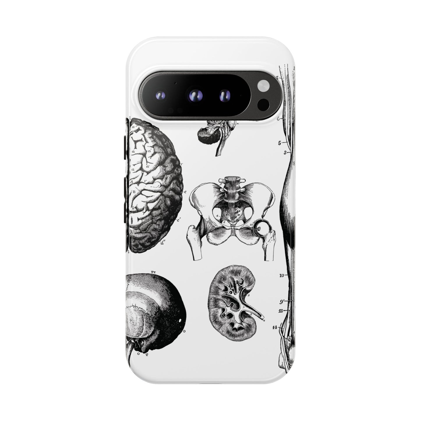 Vintage Anatomy Phone Case - Medical Sketch Design - Custom iPhone, Samsung & Pixel Cover - Science Gift - Doctor Aesthetic - Anatomy case