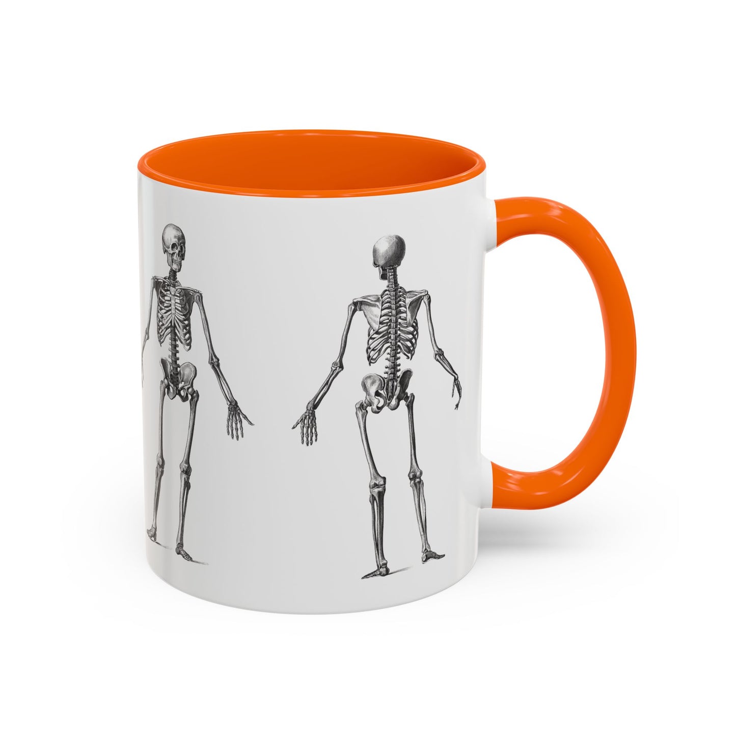 Anatomy Skeleton Accent Coffee Mug, Medical Student Doctor Nurse Gift, Anatomical Diagram, Halloween Mug, Biology Teacher Gift,