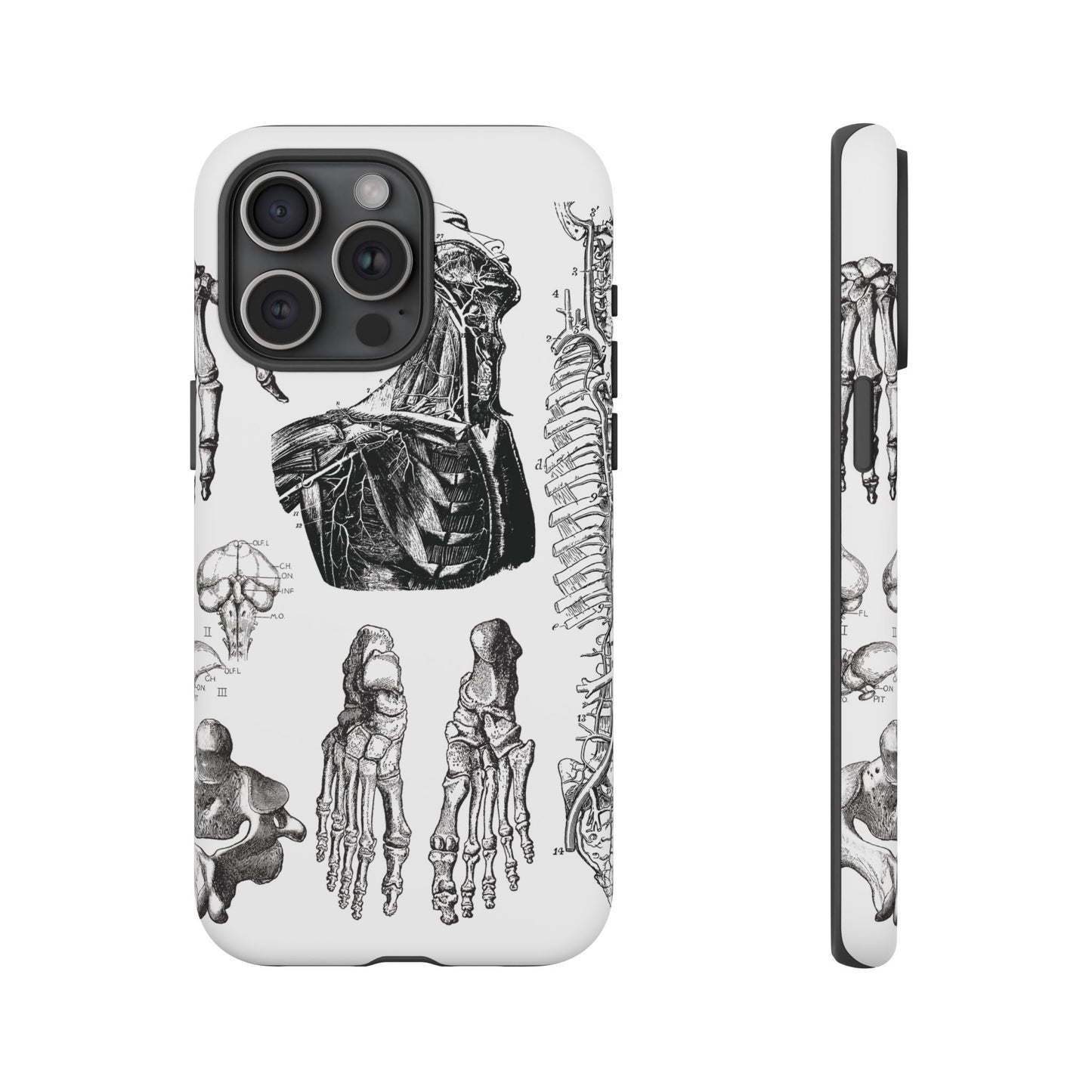 Vintage Anatomy Phone Case - Medical Illustration Design - Custom iPhone, Samsung & Pixel Cover - Science Gift - Doctor Aesthetic - Anatomy