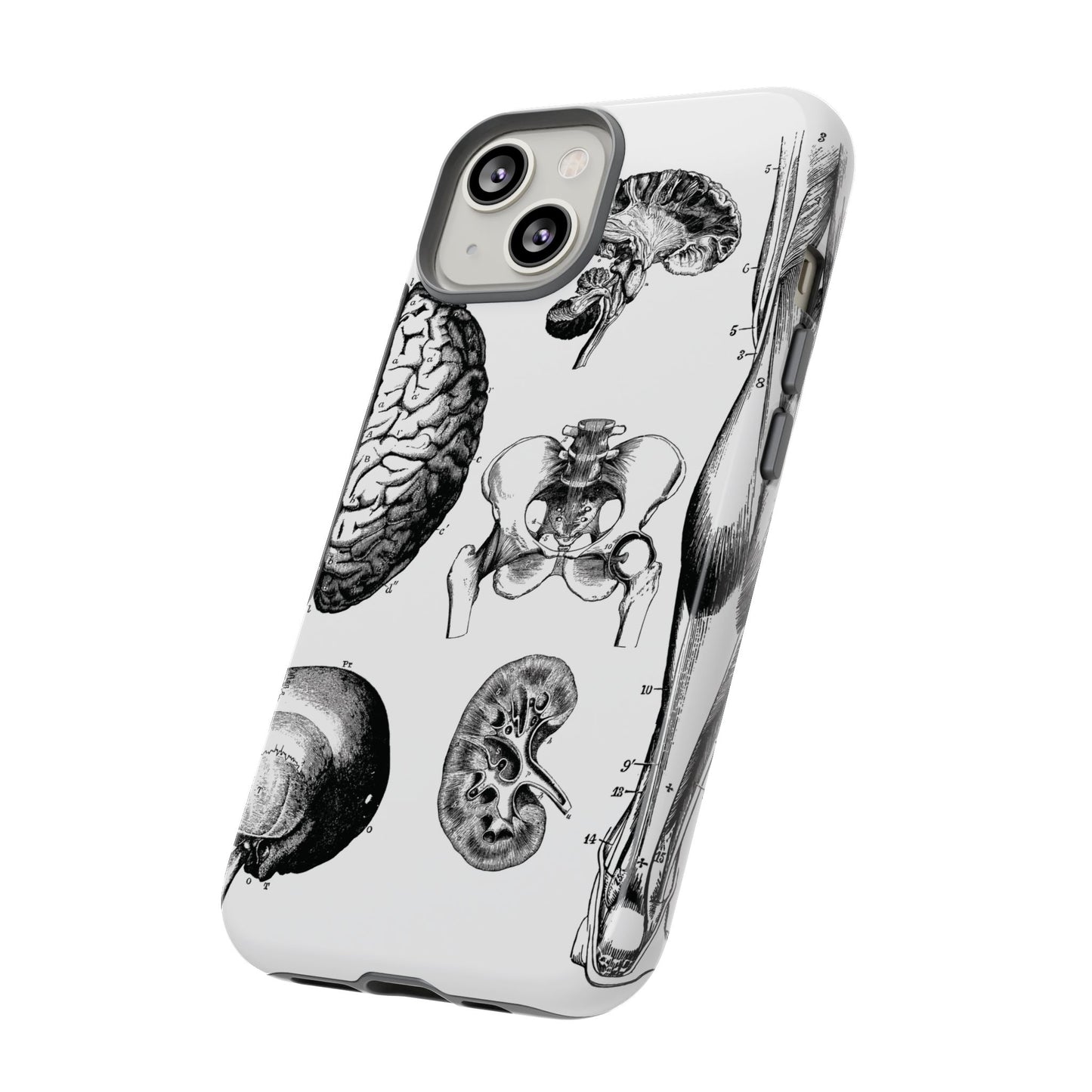 Vintage Anatomy Phone Case - Medical Sketch Design - Custom iPhone, Samsung & Pixel Cover - Science Gift - Doctor Aesthetic - Anatomy case