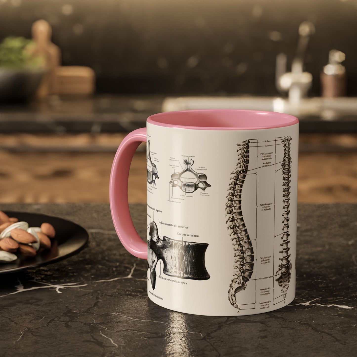Anatomical Spine Mug, Medical Student Gift, Doctor, Nurse, Neurosurgeon