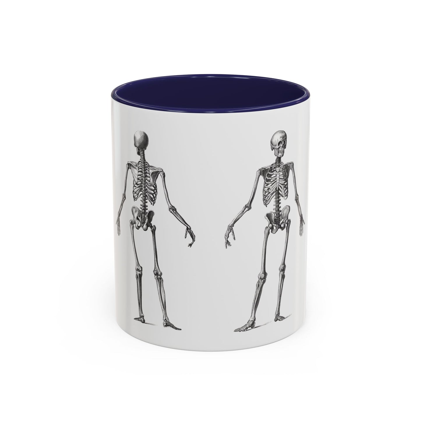 Anatomy Skeleton Accent Coffee Mug, Medical Student Doctor Nurse Gift, Anatomical Diagram, Halloween Mug, Biology Teacher Gift,