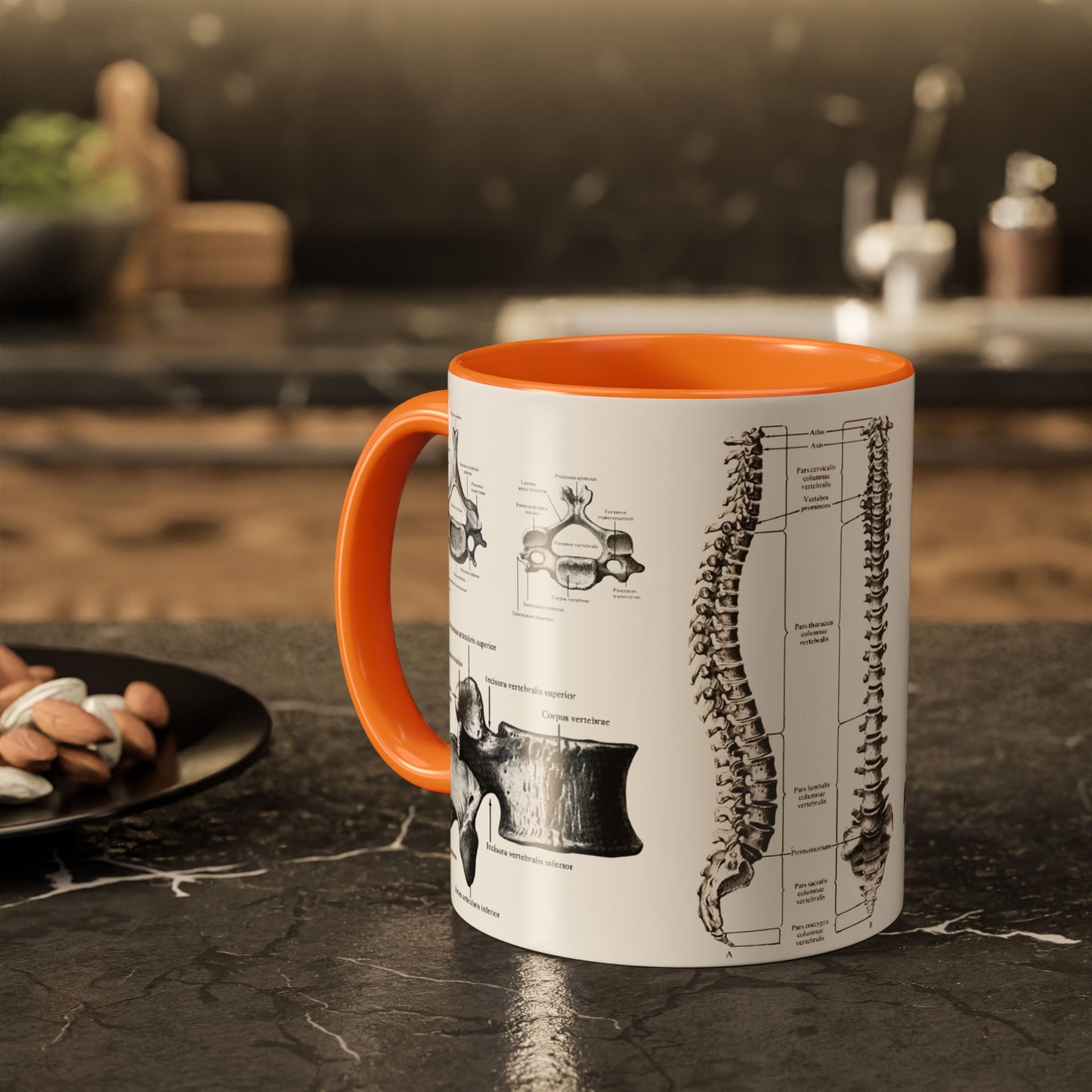 Anatomical Spine Mug, Medical Student Gift, Doctor, Nurse, Neurosurgeon