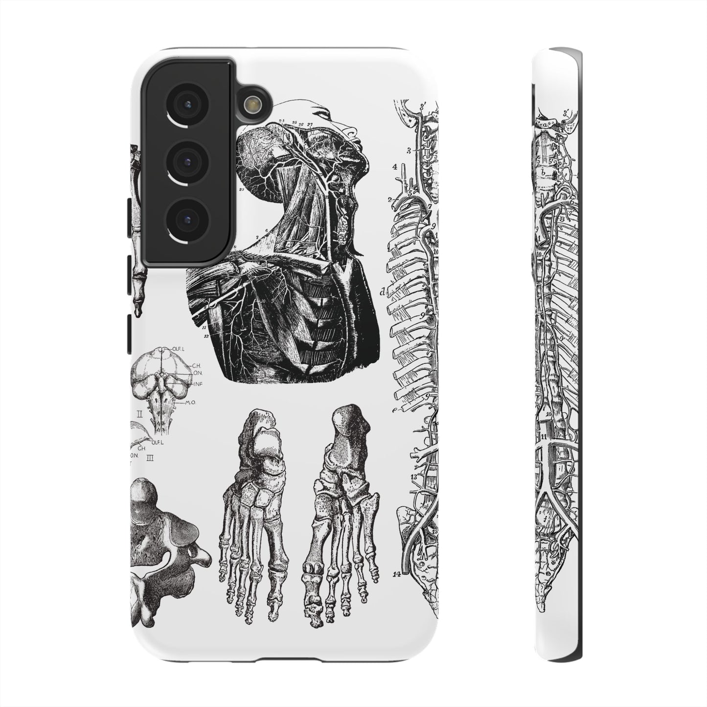 Vintage Anatomy Phone Case - Medical Illustration Design - Custom iPhone, Samsung & Pixel Cover - Science Gift - Doctor Aesthetic - Anatomy