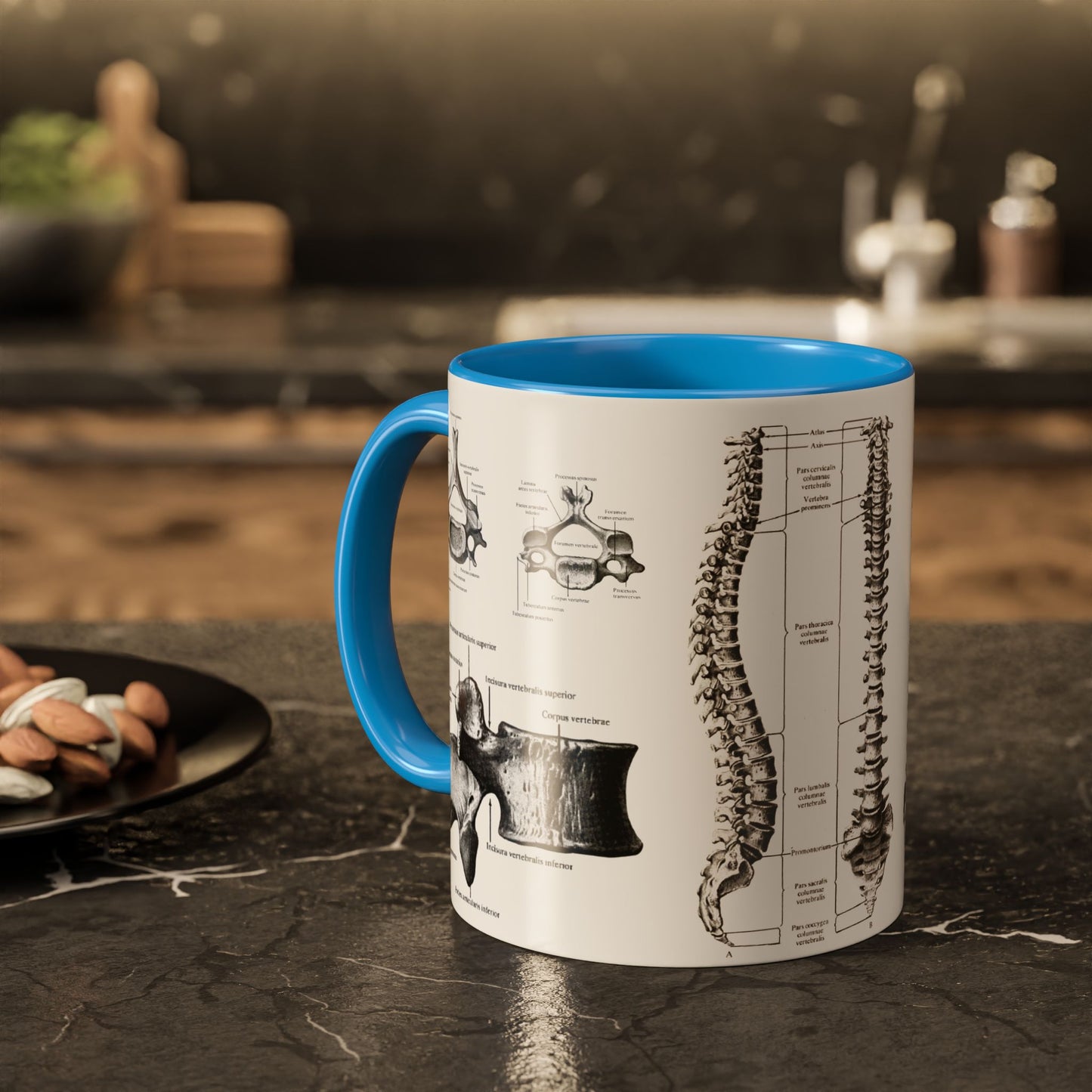 Anatomical Spine Mug, Medical Student Gift, Doctor, Nurse, Neurosurgeon