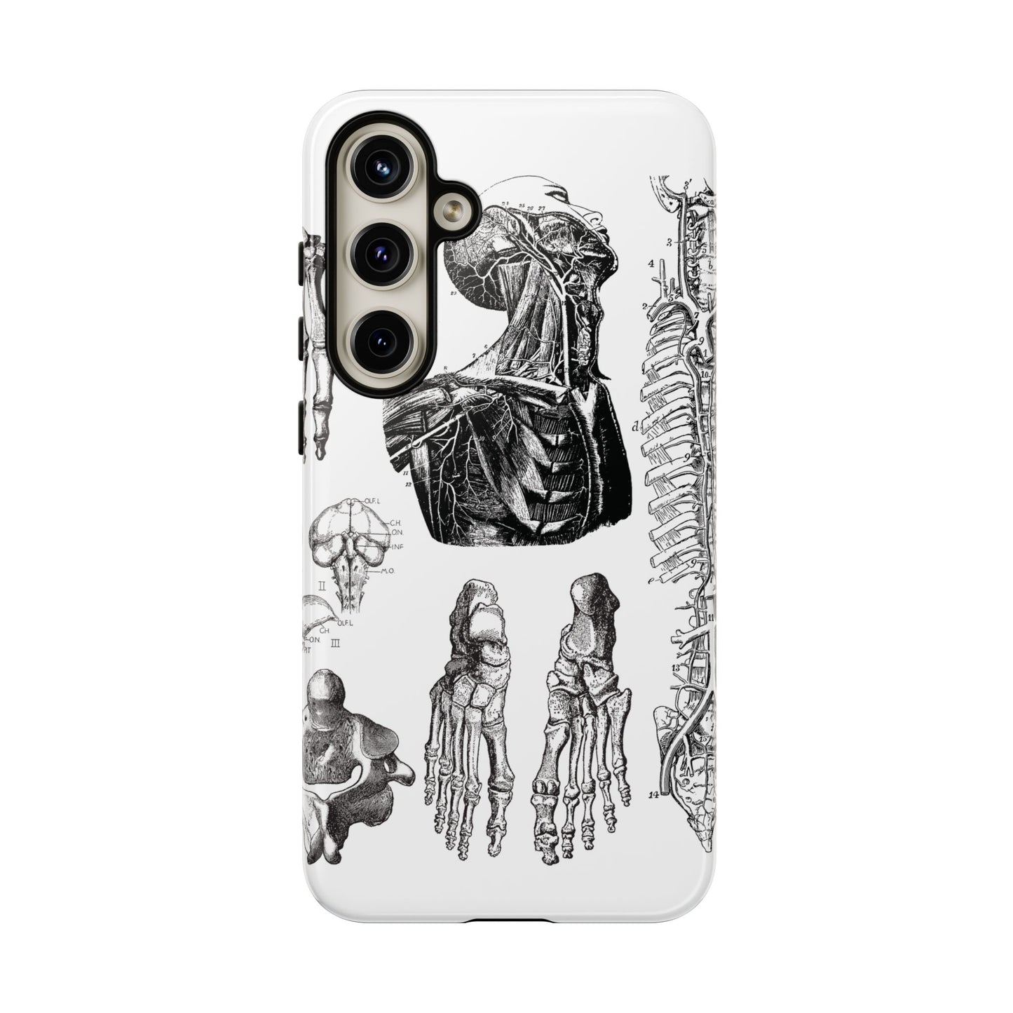 Vintage Anatomy Phone Case - Medical Illustration Design - Custom iPhone, Samsung & Pixel Cover - Science Gift - Doctor Aesthetic - Anatomy