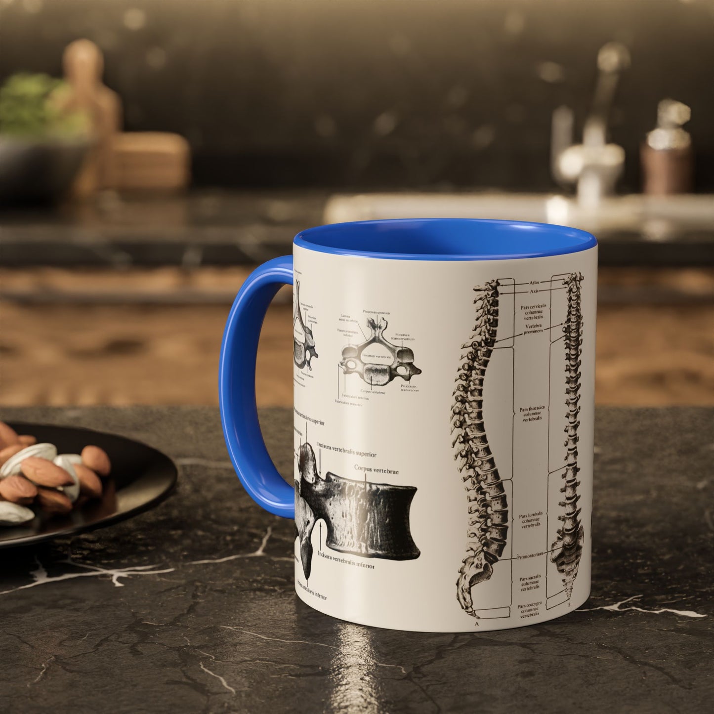 Anatomical Spine Mug, Medical Student Gift, Doctor, Nurse, Neurosurgeon