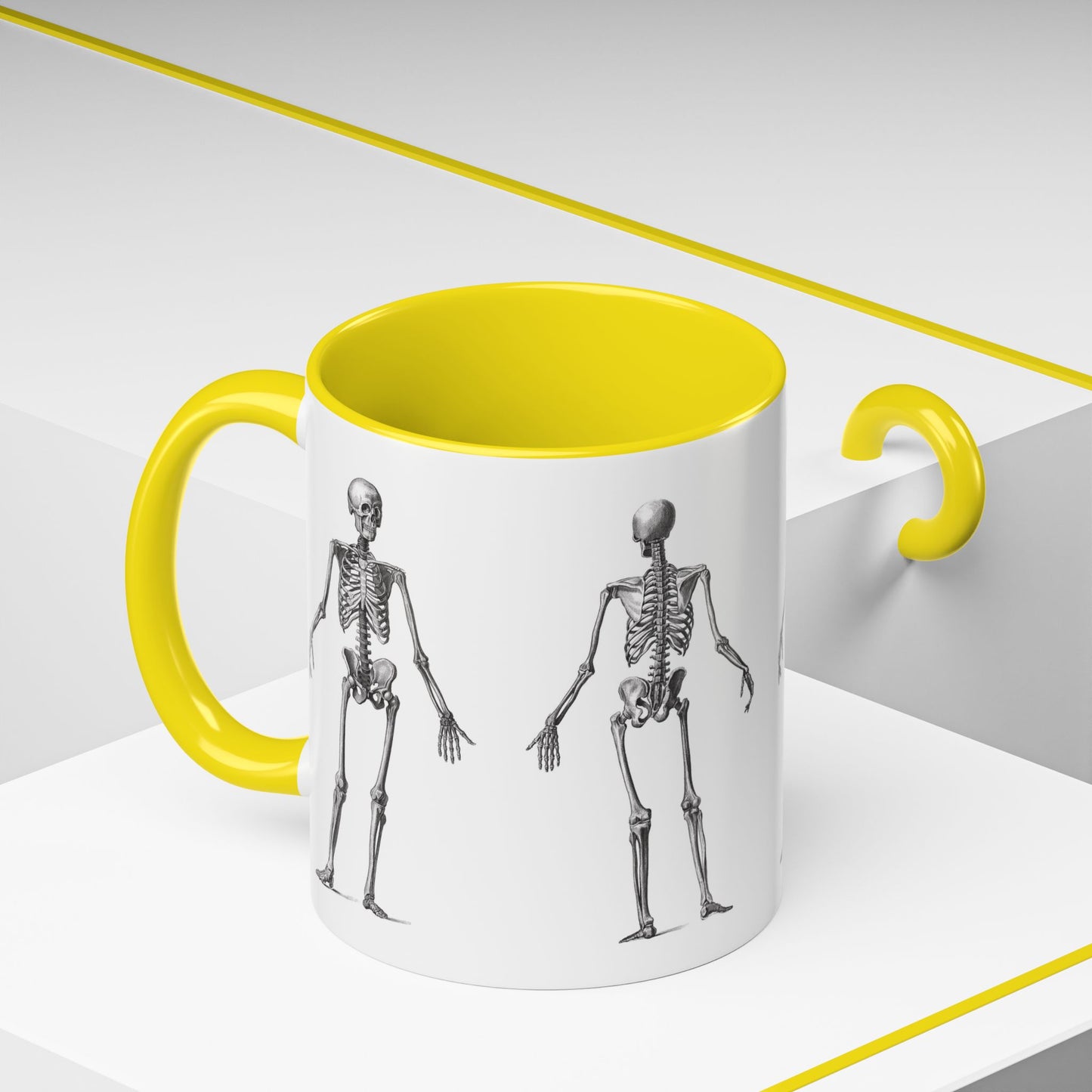 Anatomy Skeleton Accent Coffee Mug, Medical Student Doctor Nurse Gift, Anatomical Diagram, Halloween Mug, Biology Teacher Gift,