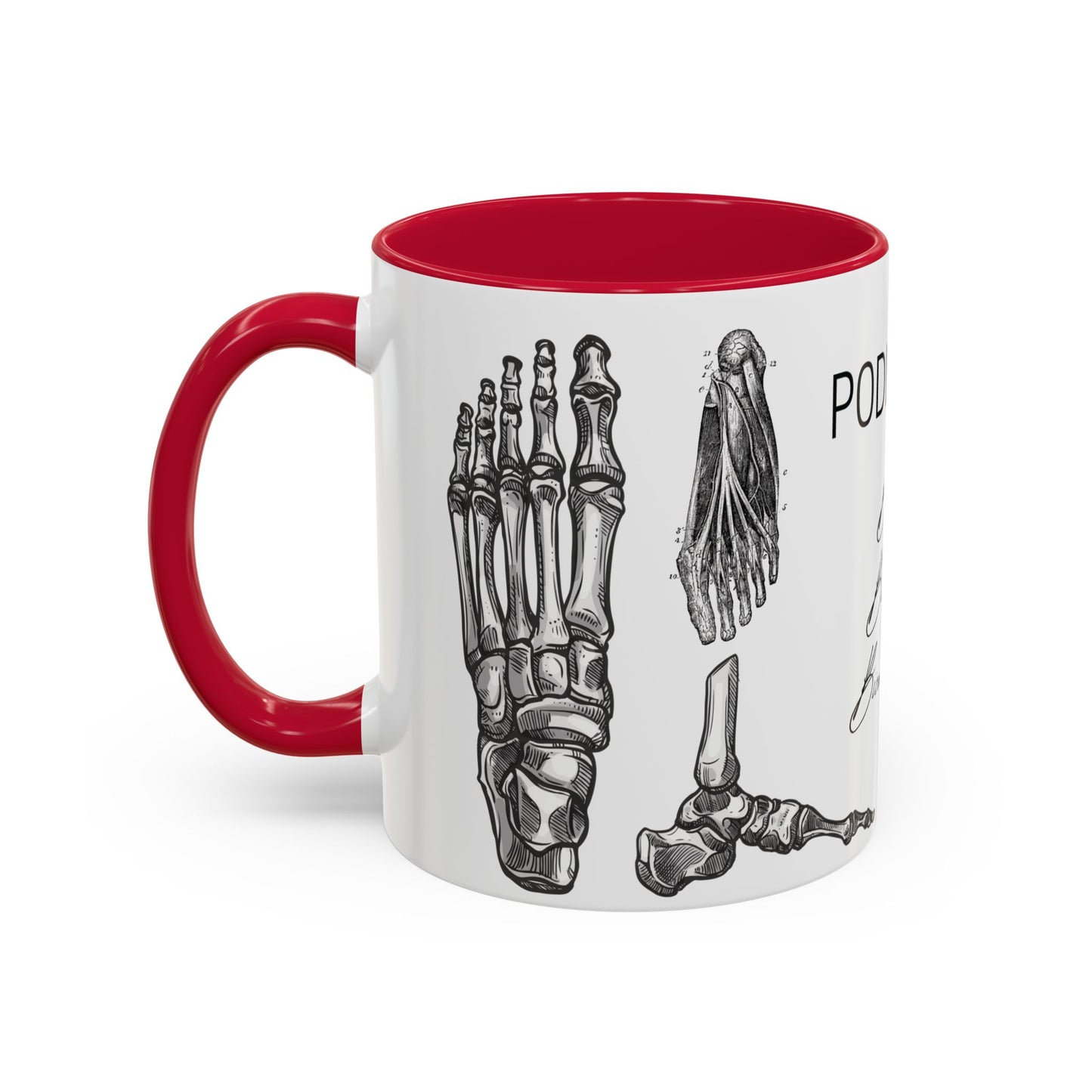 Taza Podología Pie Anatómico, Regalo Podólogo, Taza Anatomía Médica, Taza Doctor, Taza Estudiante Medicina, Personal Sanitario