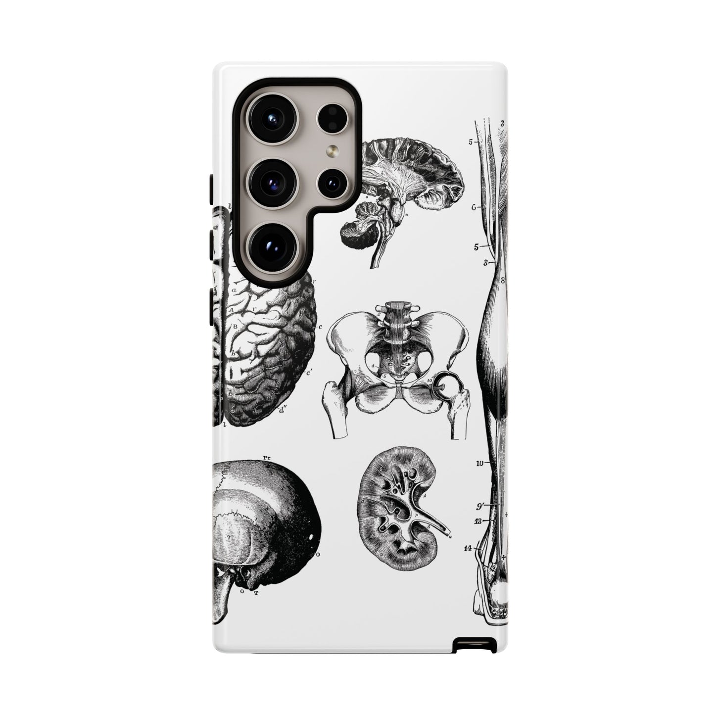 Vintage Anatomy Phone Case - Medical Sketch Design - Custom iPhone, Samsung & Pixel Cover - Science Gift - Doctor Aesthetic - Anatomy case
