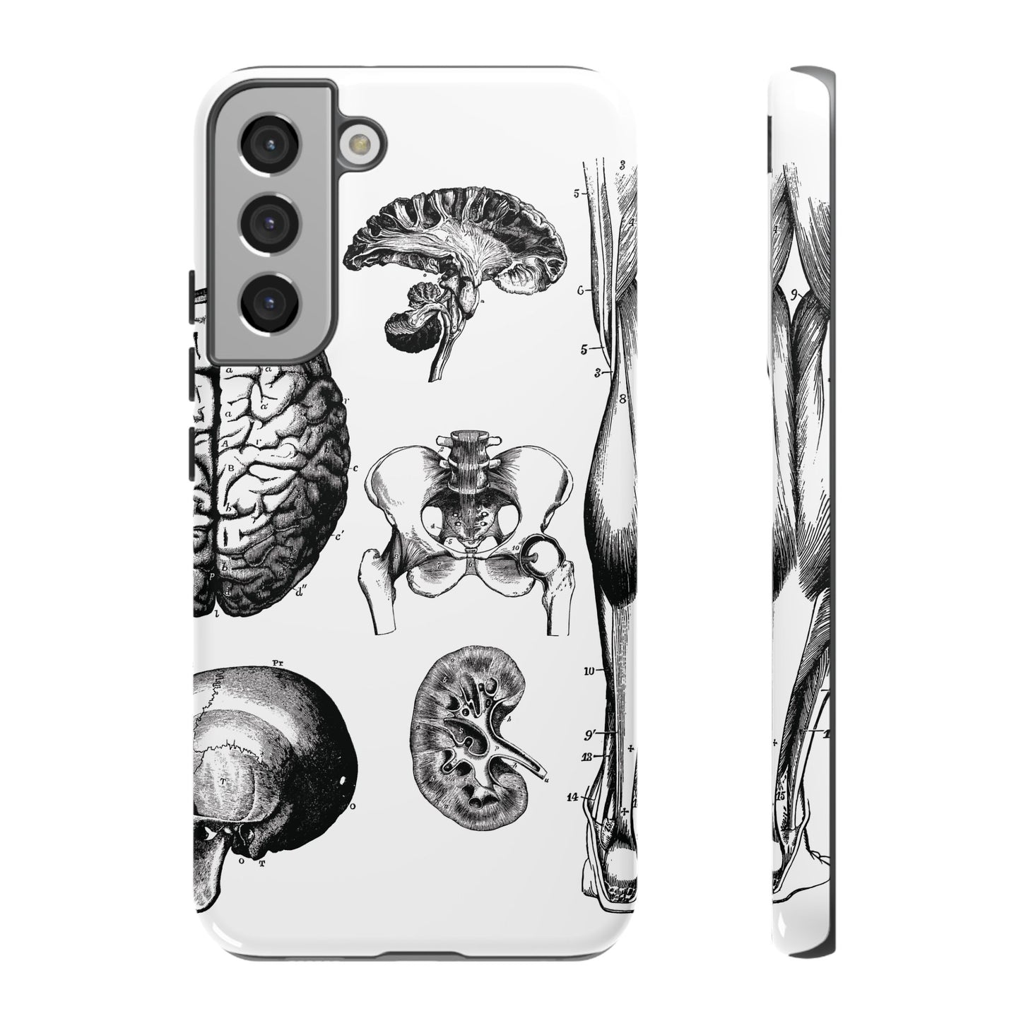 Vintage Anatomy Phone Case - Medical Sketch Design - Custom iPhone, Samsung & Pixel Cover - Science Gift - Doctor Aesthetic - Anatomy case