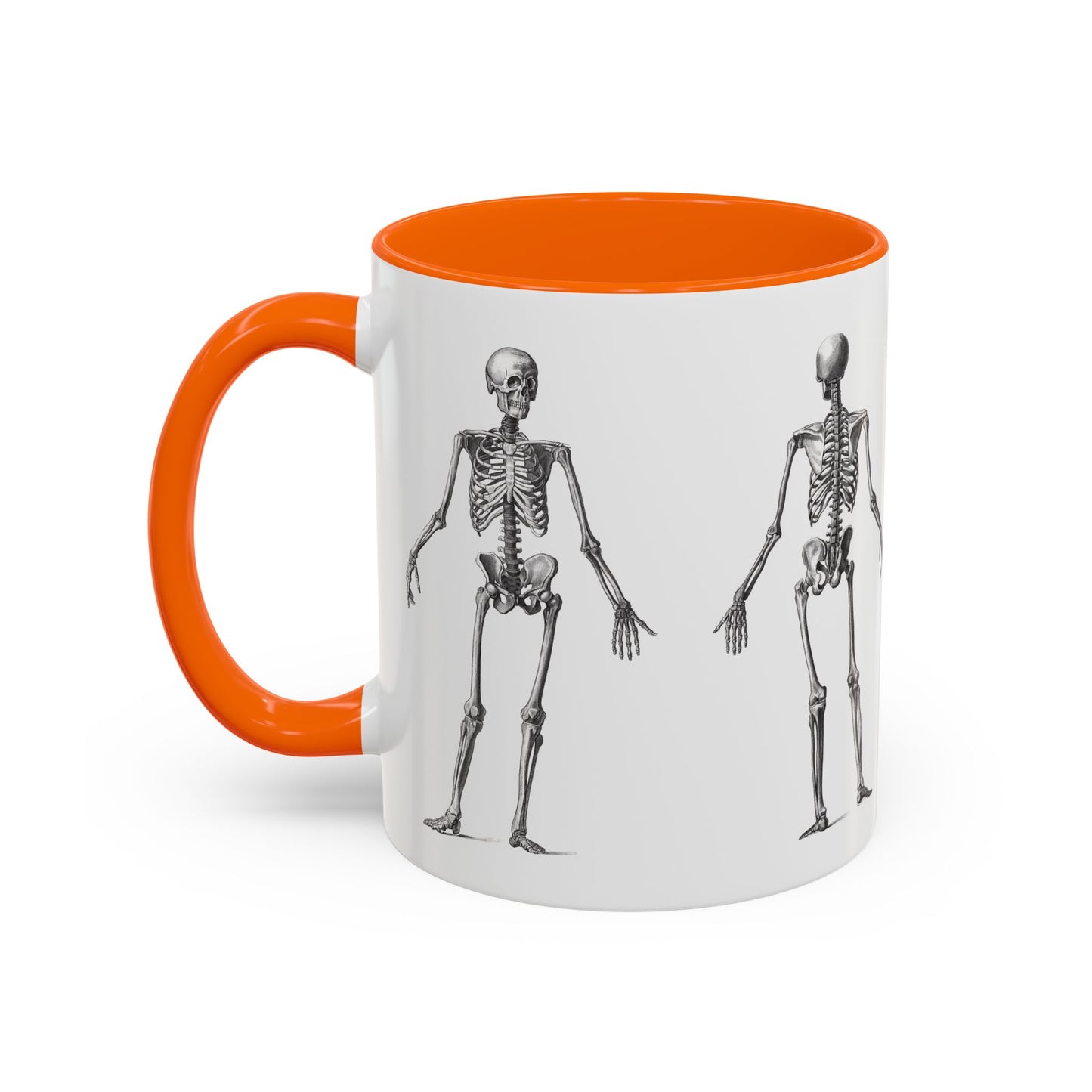 Anatomy Skeleton Accent Coffee Mug, Medical Student Doctor Nurse Gift, Anatomical Diagram, Halloween Mug, Biology Teacher Gift,