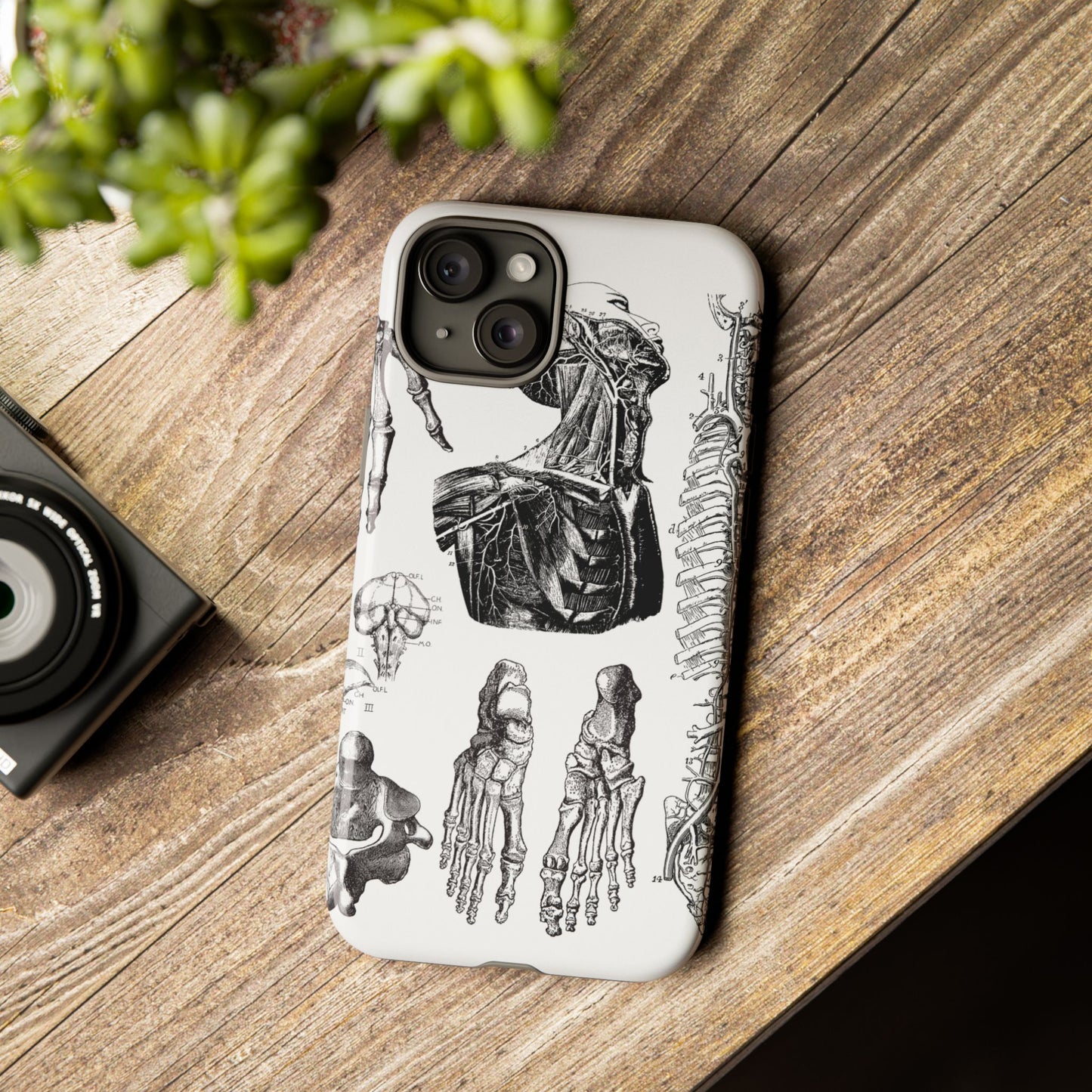 Vintage Anatomy Phone Case - Medical Illustration Design - Custom iPhone, Samsung & Pixel Cover - Science Gift - Doctor Aesthetic - Anatomy