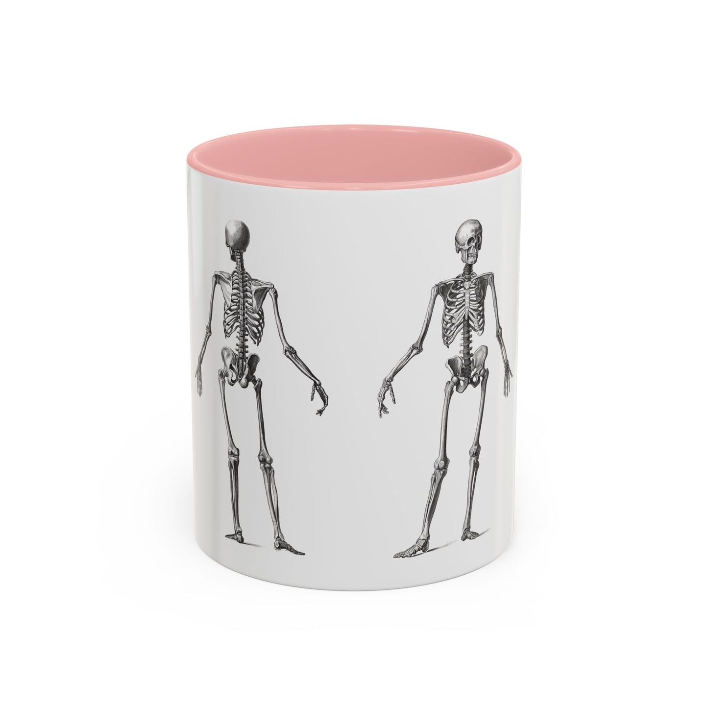 Anatomy Skeleton Accent Coffee Mug, Medical Student Doctor Nurse Gift, Anatomical Diagram, Halloween Mug, Biology Teacher Gift,