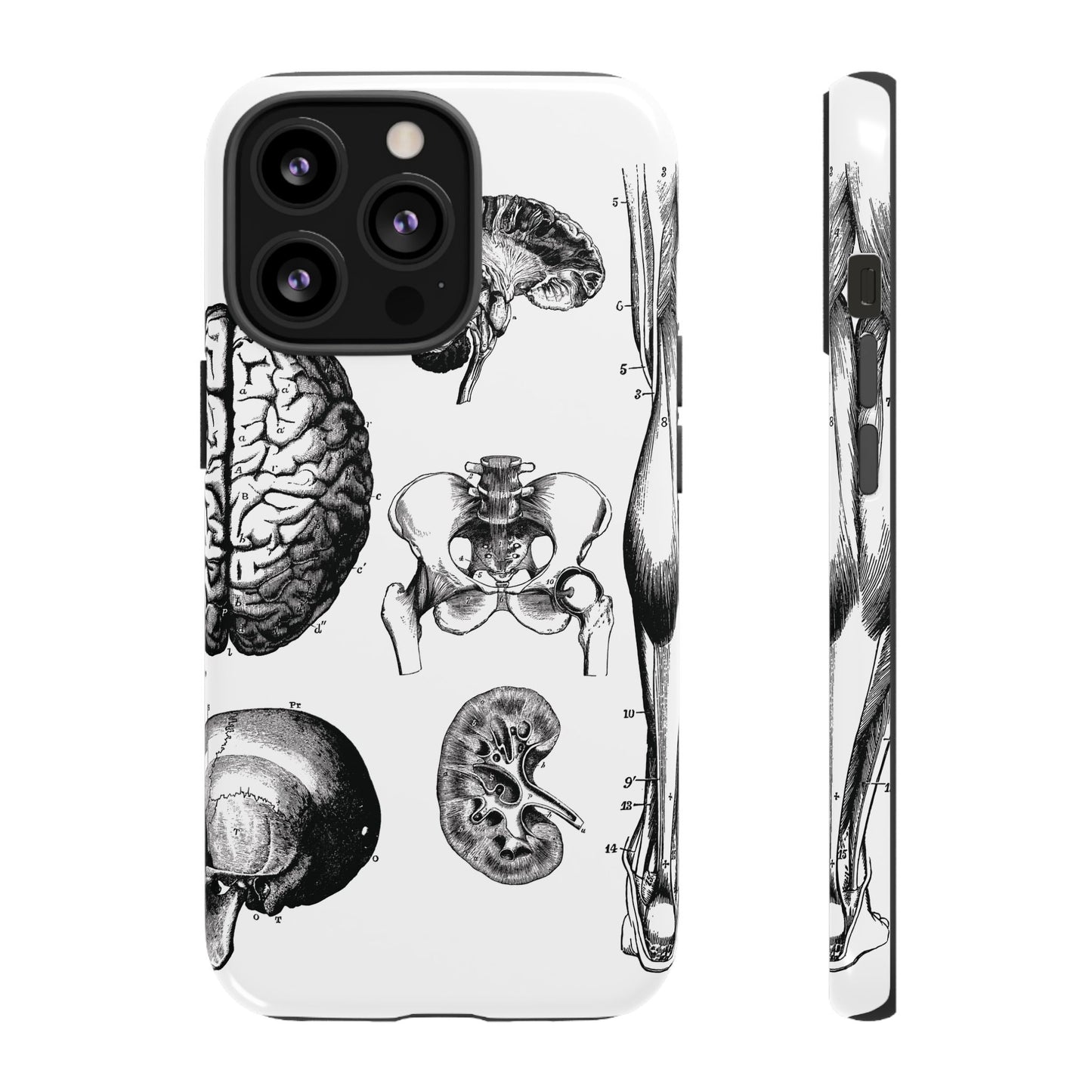 Vintage Anatomy Phone Case - Medical Sketch Design - Custom iPhone, Samsung & Pixel Cover - Science Gift - Doctor Aesthetic - Anatomy case