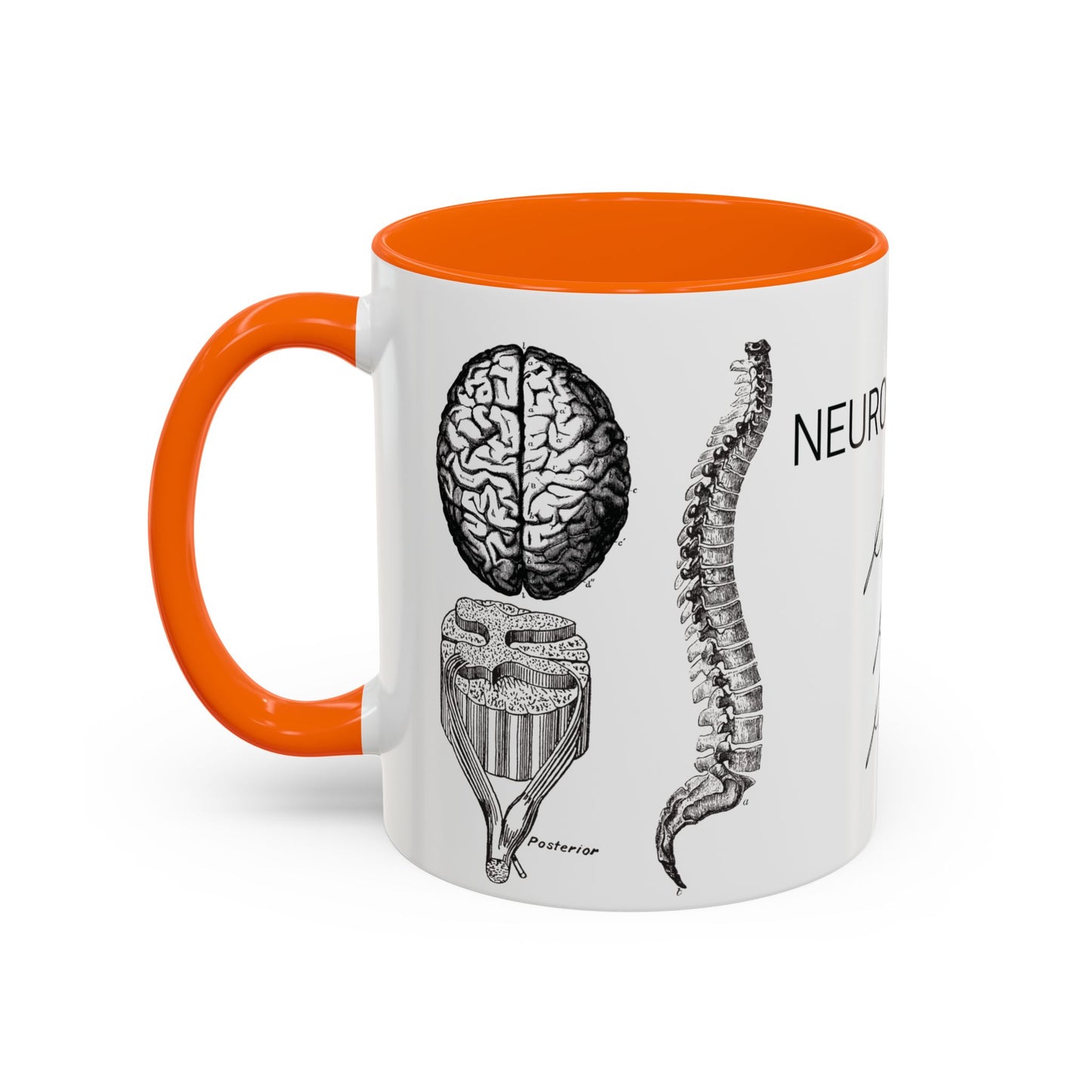 Neuro-Spine Mug, Anatomical Spine Illustration Cup, Neurosurgeon Gift Idea, Spine Surgery Mug, Doctor Appreciation, Medical Worker Gift