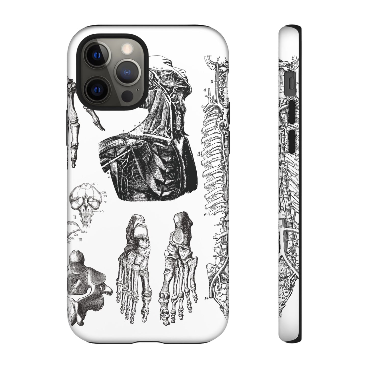 Vintage Anatomy Phone Case - Medical Illustration Design - Custom iPhone, Samsung & Pixel Cover - Science Gift - Doctor Aesthetic - Anatomy