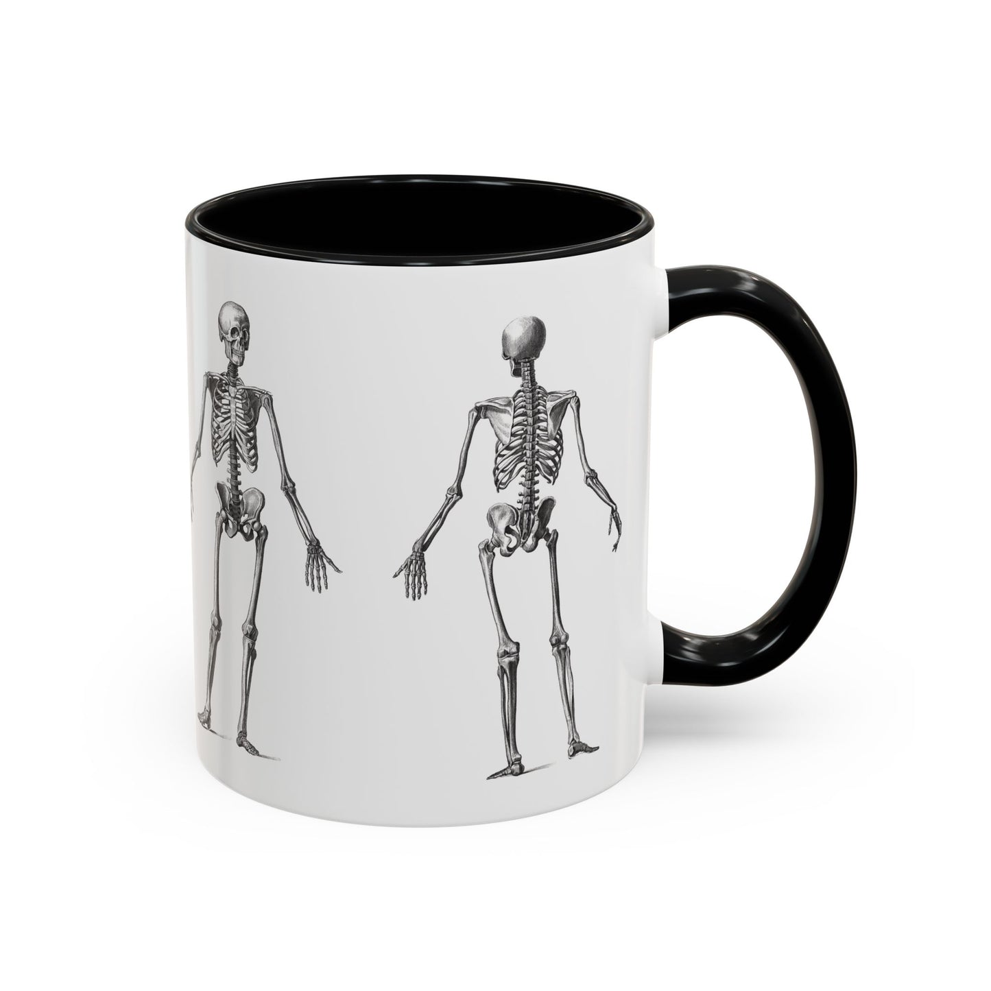 Anatomy Skeleton Accent Coffee Mug, Medical Student Doctor Nurse Gift, Anatomical Diagram, Halloween Mug, Biology Teacher Gift,