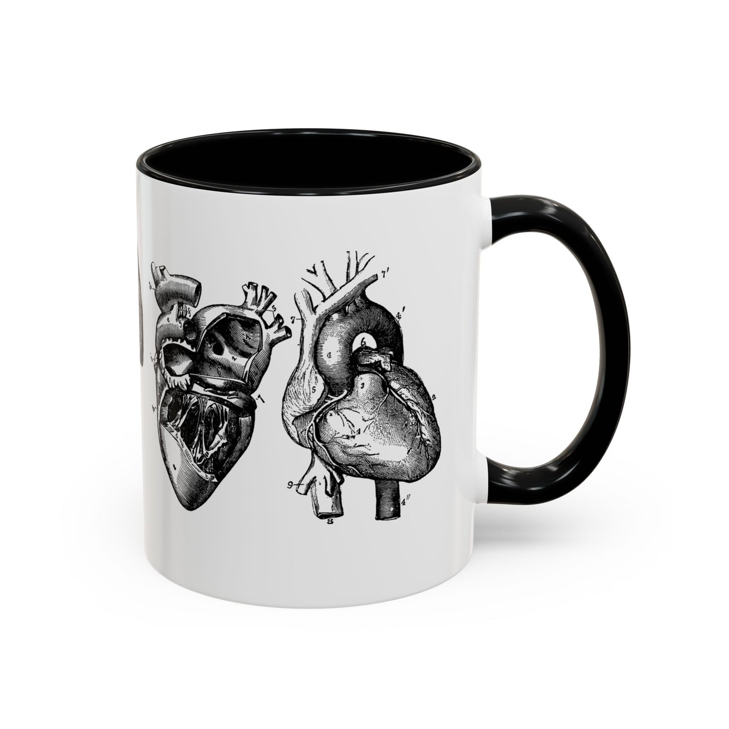 Cardiothoracic Surgery Mug, Heart and Lung Anatomy Cup, Surgeon Gift, Medical Anatomy Mug, Doctor Appreciation, Healthcare Worker Gift