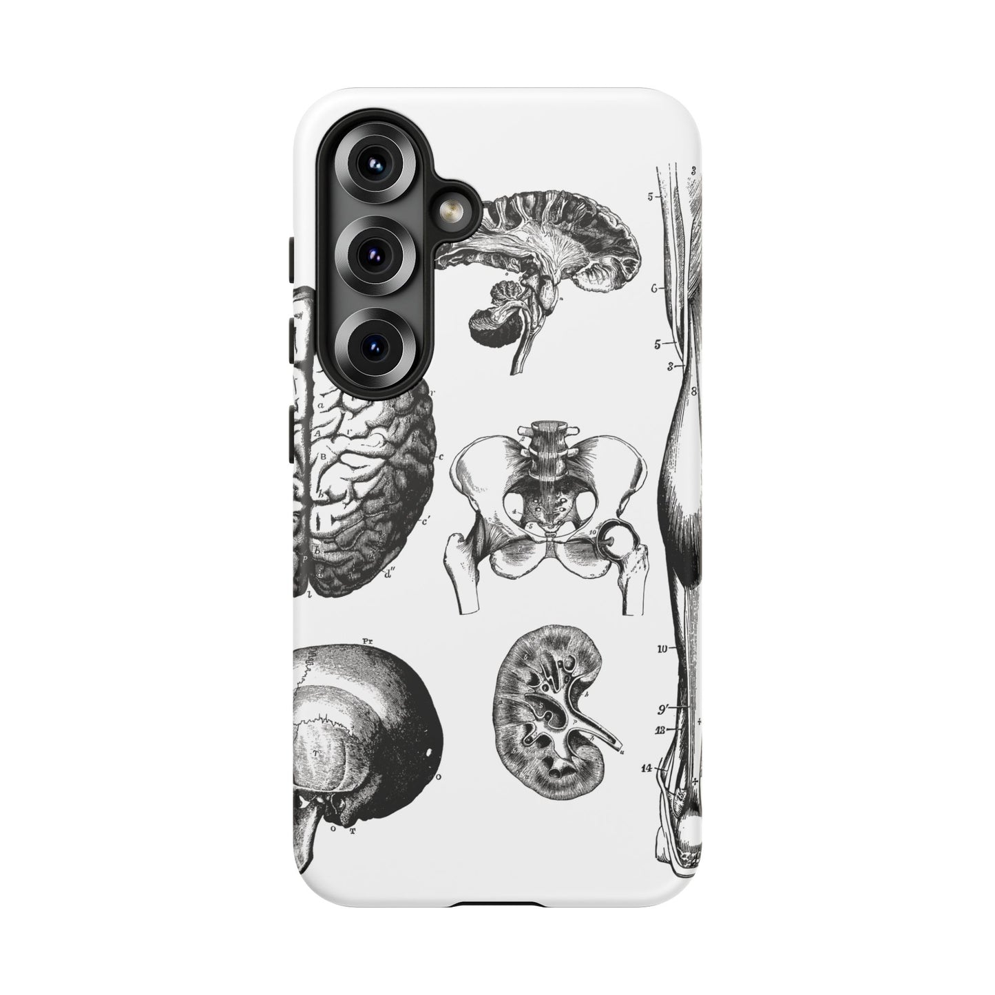 Vintage Anatomy Phone Case - Medical Sketch Design - Custom iPhone, Samsung & Pixel Cover - Science Gift - Doctor Aesthetic - Anatomy case