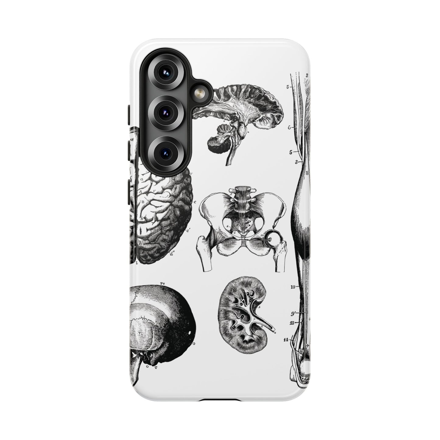 Vintage Anatomy Phone Case - Medical Sketch Design - Custom iPhone, Samsung & Pixel Cover - Science Gift - Doctor Aesthetic - Anatomy case