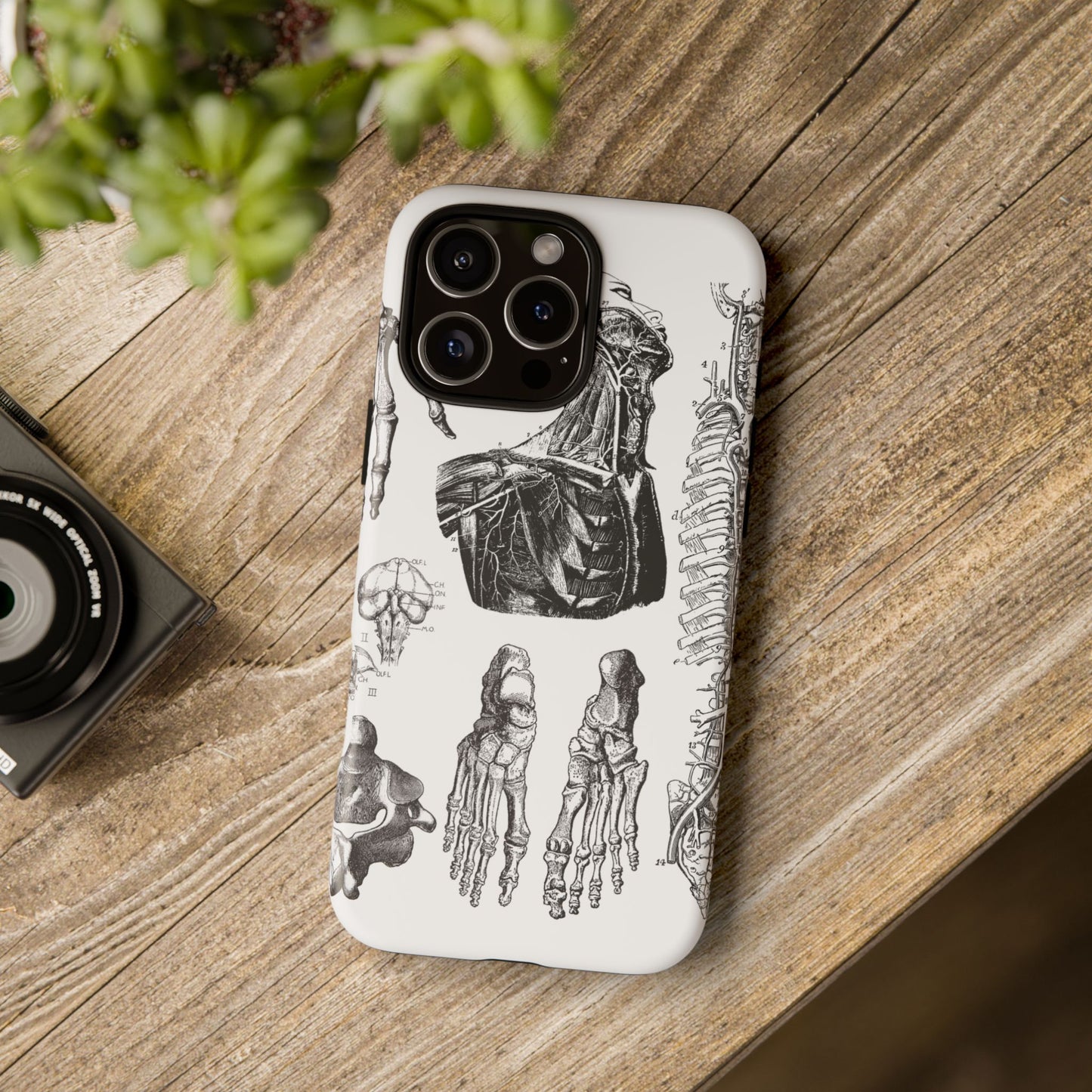 Vintage Anatomy Phone Case - Medical Illustration Design - Custom iPhone, Samsung & Pixel Cover - Science Gift - Doctor Aesthetic - Anatomy