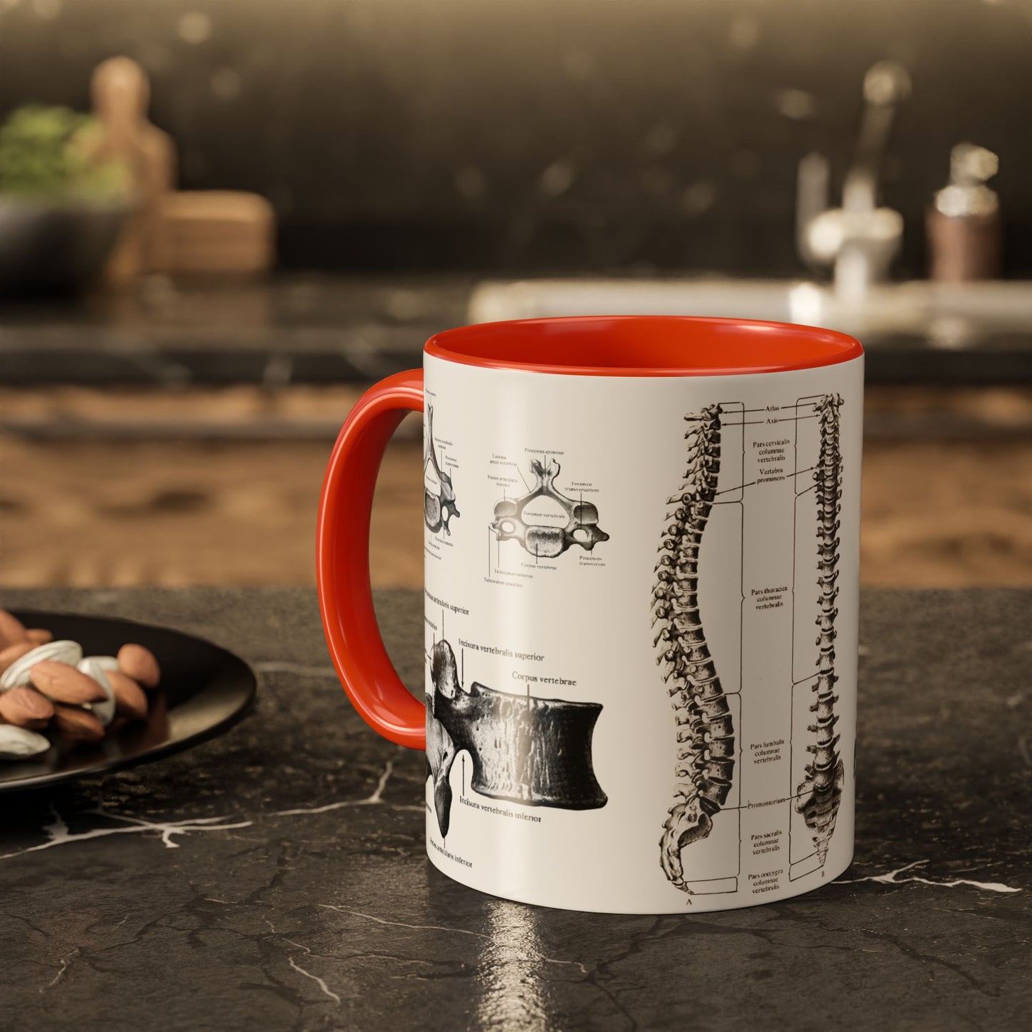 Anatomical Spine Mug, Medical Student Gift, Doctor, Nurse, Neurosurgeon