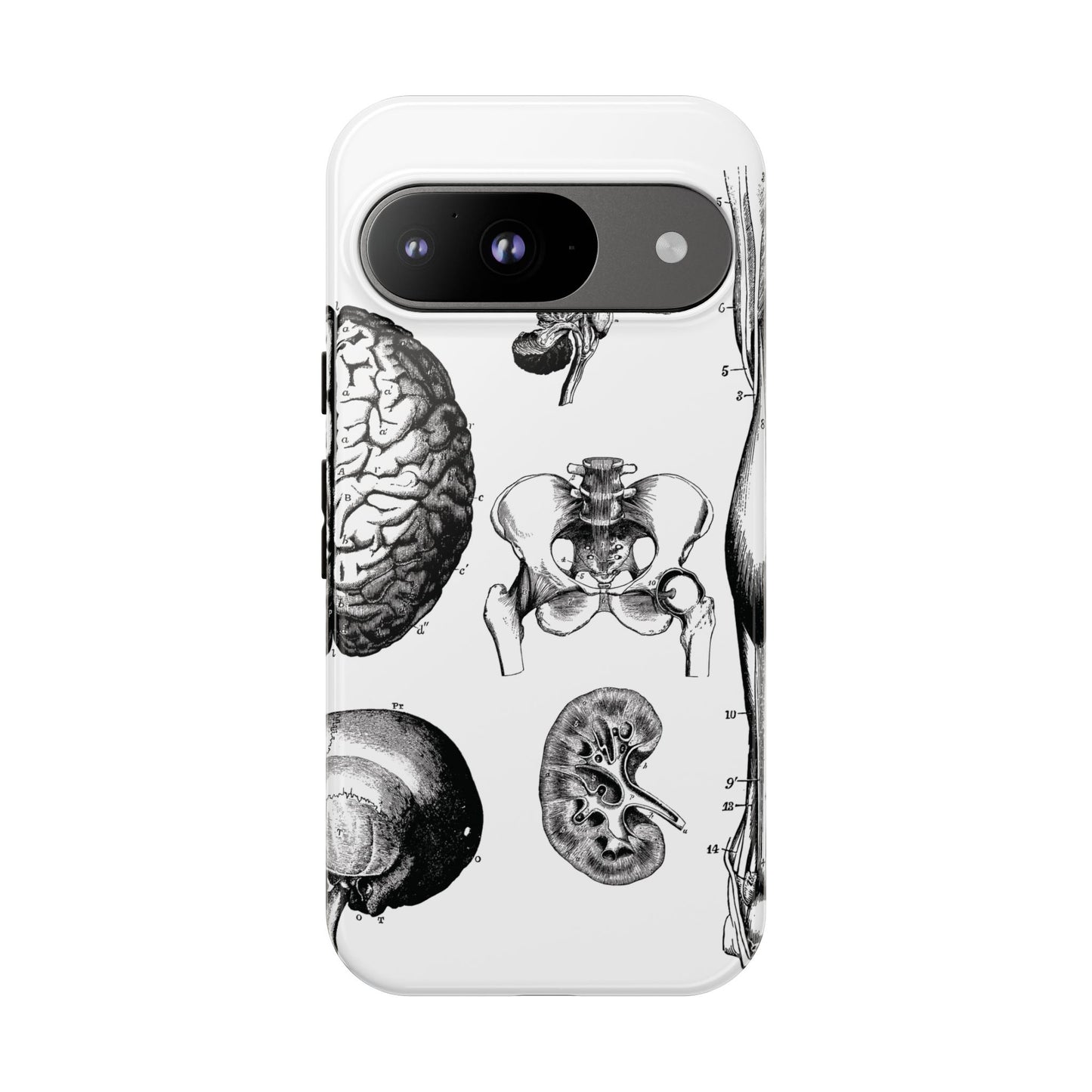 Vintage Anatomy Phone Case - Medical Sketch Design - Custom iPhone, Samsung & Pixel Cover - Science Gift - Doctor Aesthetic - Anatomy case