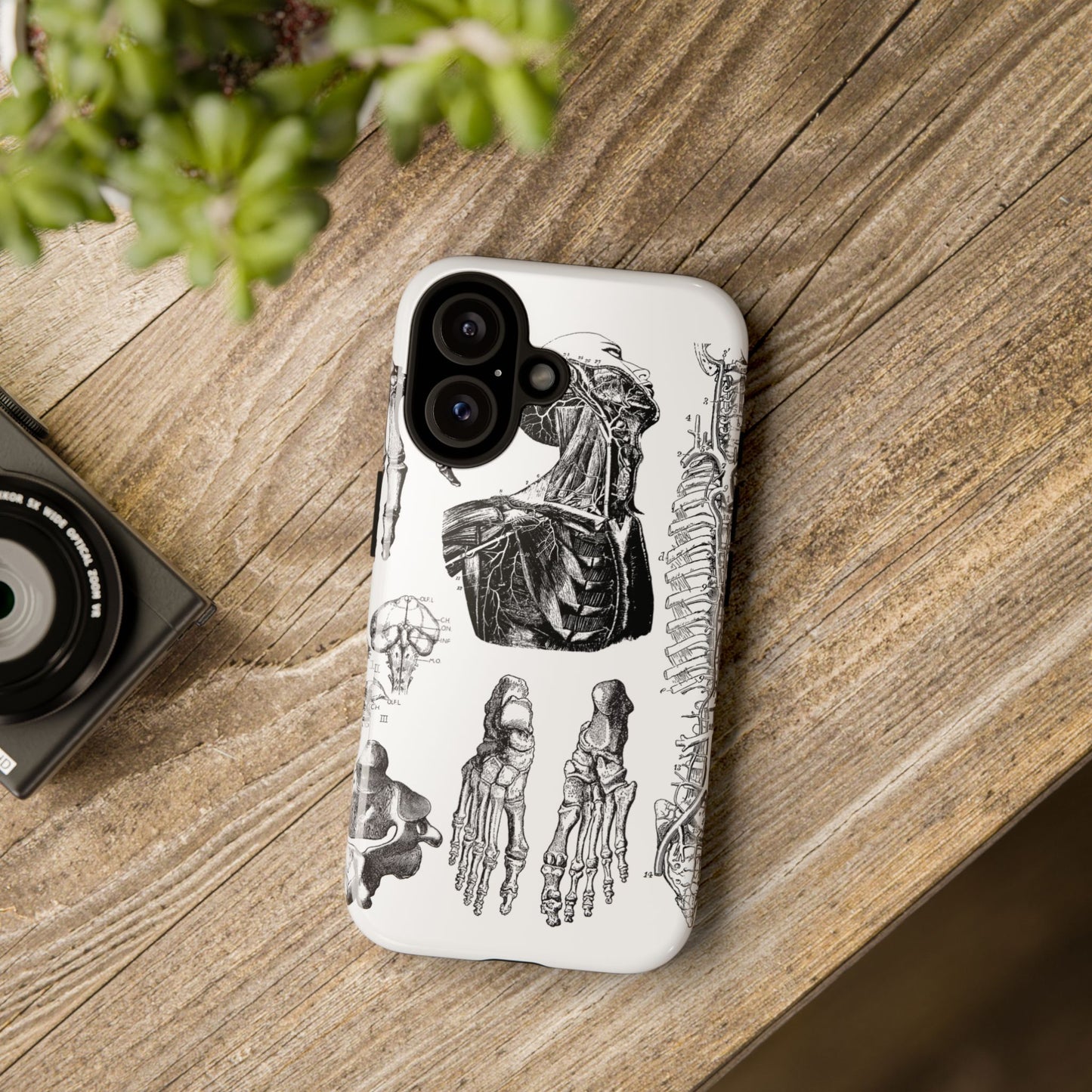 Vintage Anatomy Phone Case - Medical Illustration Design - Custom iPhone, Samsung & Pixel Cover - Science Gift - Doctor Aesthetic - Anatomy