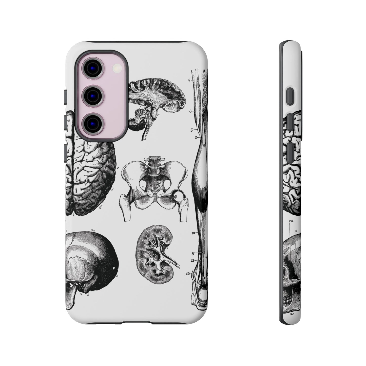 Vintage Anatomy Phone Case - Medical Sketch Design - Custom iPhone, Samsung & Pixel Cover - Science Gift - Doctor Aesthetic - Anatomy case