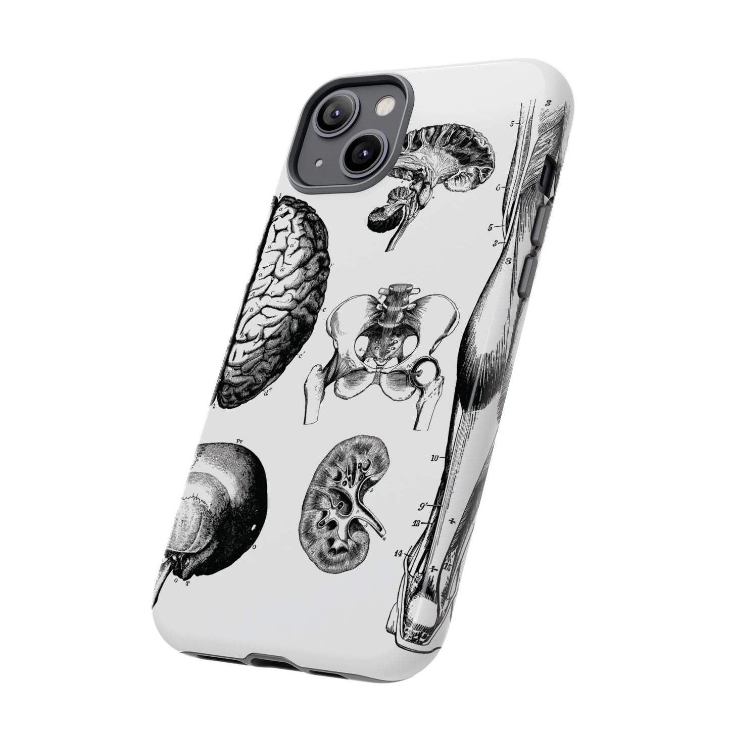 Vintage Anatomy Phone Case - Medical Sketch Design - Custom iPhone, Samsung & Pixel Cover - Science Gift - Doctor Aesthetic - Anatomy case