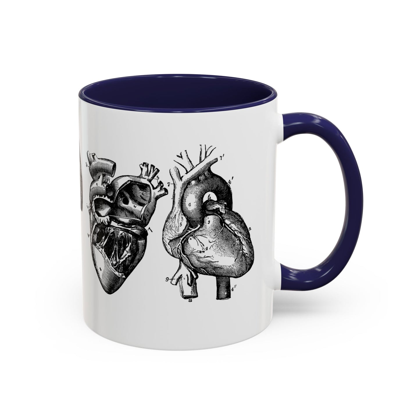 Cardiothoracic Surgery Mug, Heart and Lung Anatomy Cup, Surgeon Gift, Medical Anatomy Mug, Doctor Appreciation, Healthcare Worker Gift