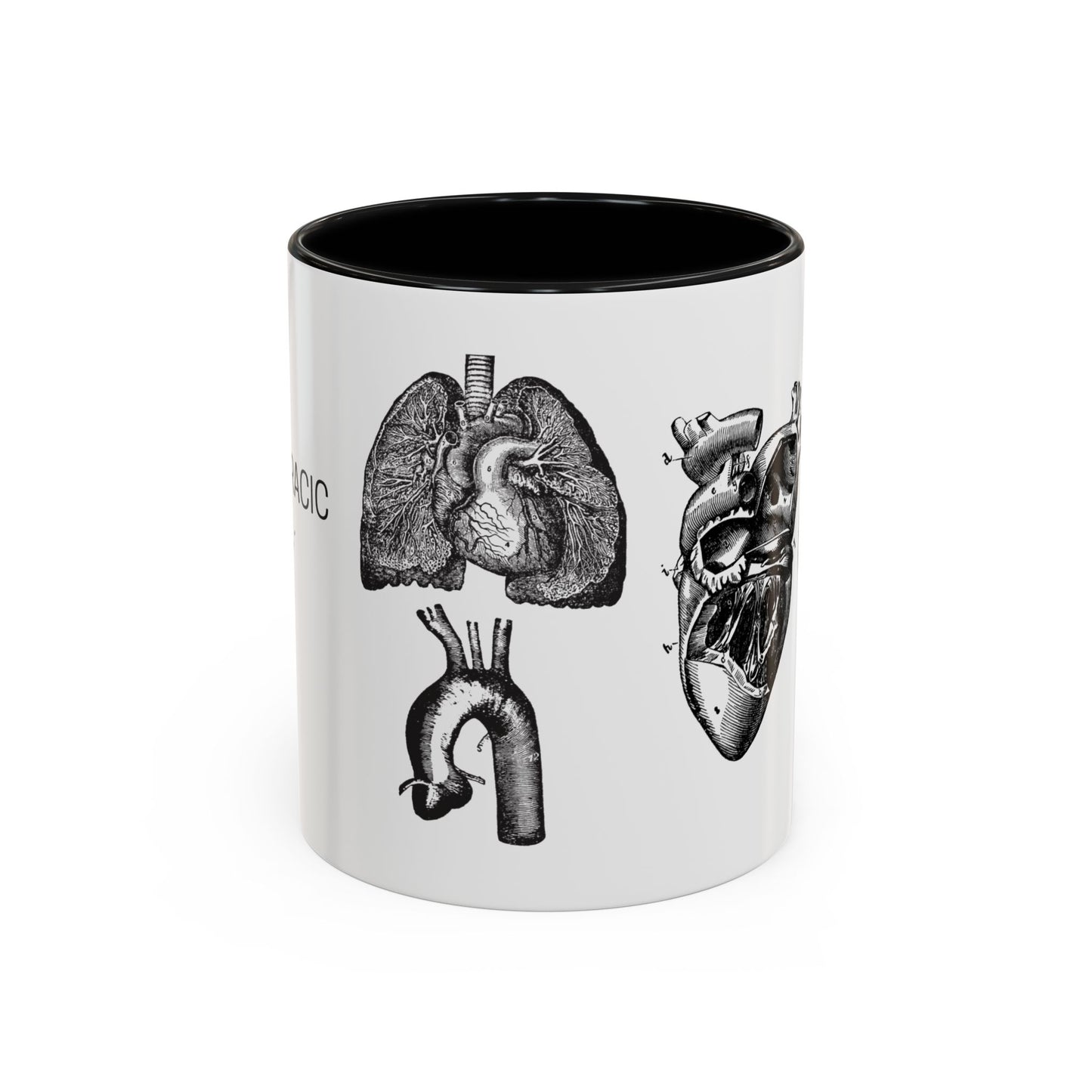 Cardiothoracic Surgery Mug, Heart and Lung Anatomy Cup, Surgeon Gift, Medical Anatomy Mug, Doctor Appreciation, Healthcare Worker Gift
