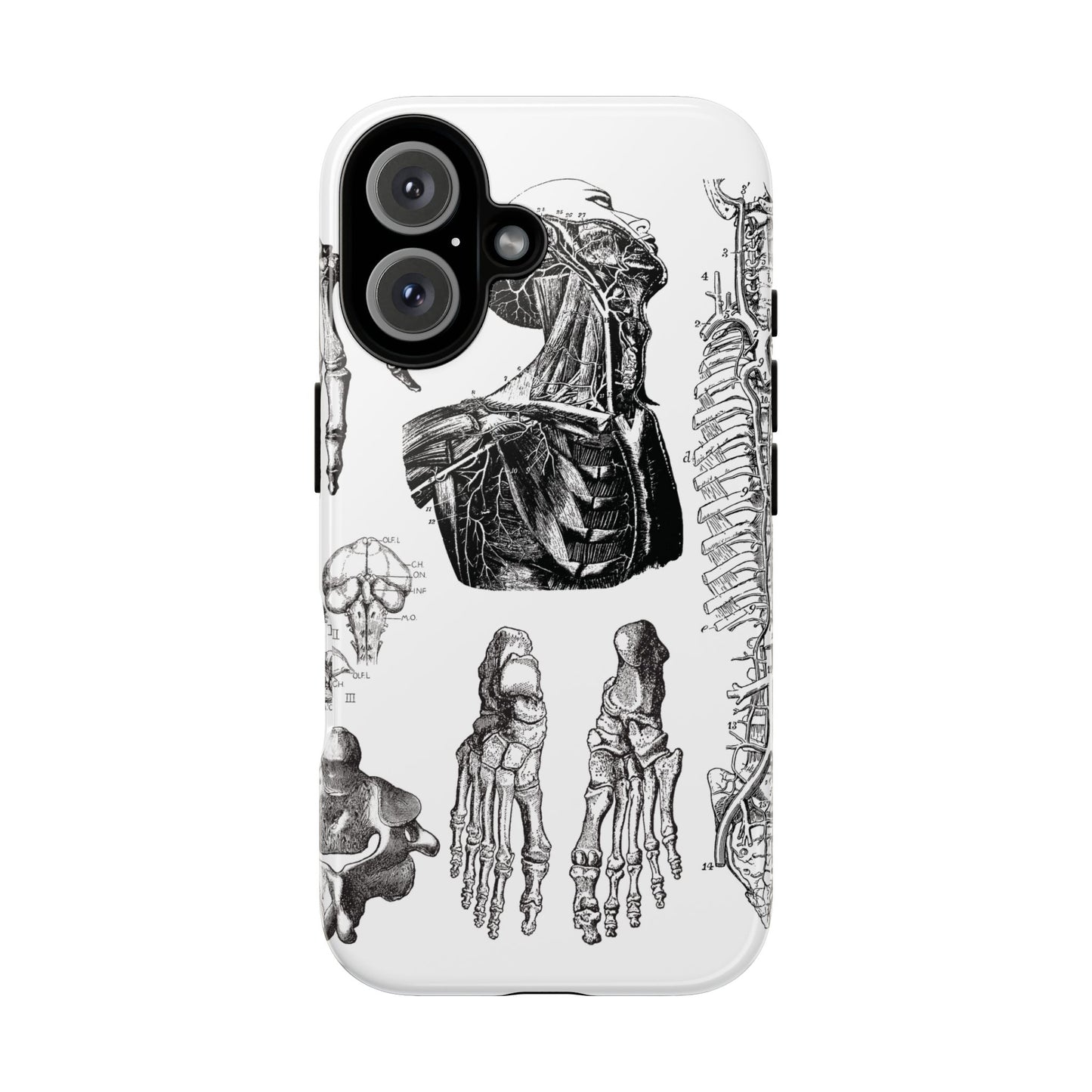 Vintage Anatomy Phone Case - Medical Illustration Design - Custom iPhone, Samsung & Pixel Cover - Science Gift - Doctor Aesthetic - Anatomy