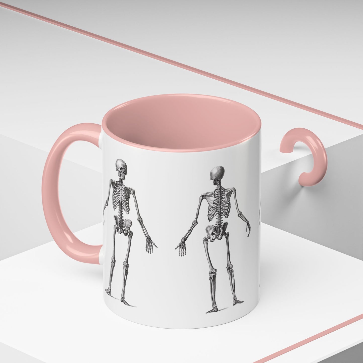 Anatomy Skeleton Accent Coffee Mug, Medical Student Doctor Nurse Gift, Anatomical Diagram, Halloween Mug, Biology Teacher Gift,